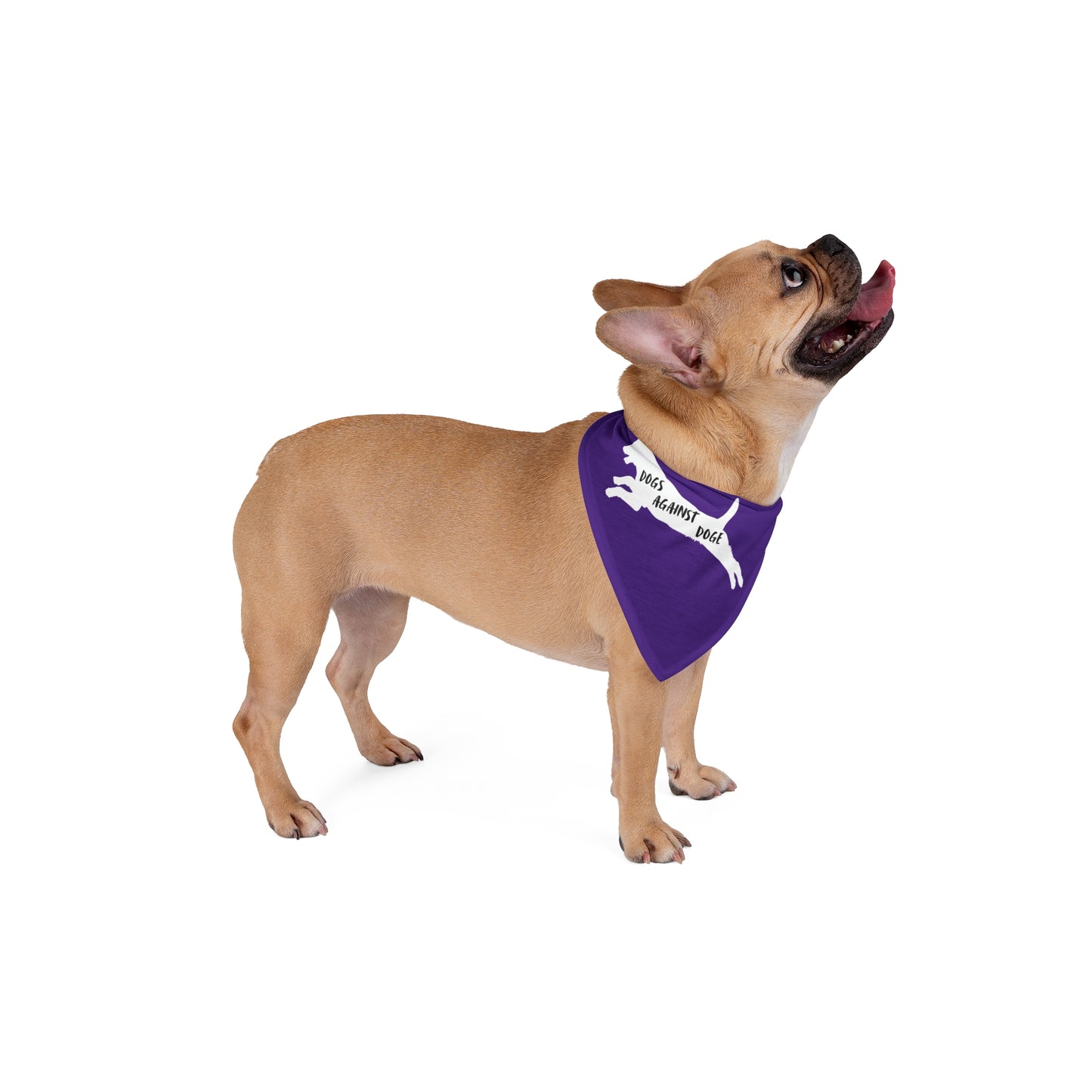 Purple Lunging Pup Dogs Against DOGE Pet Bandana