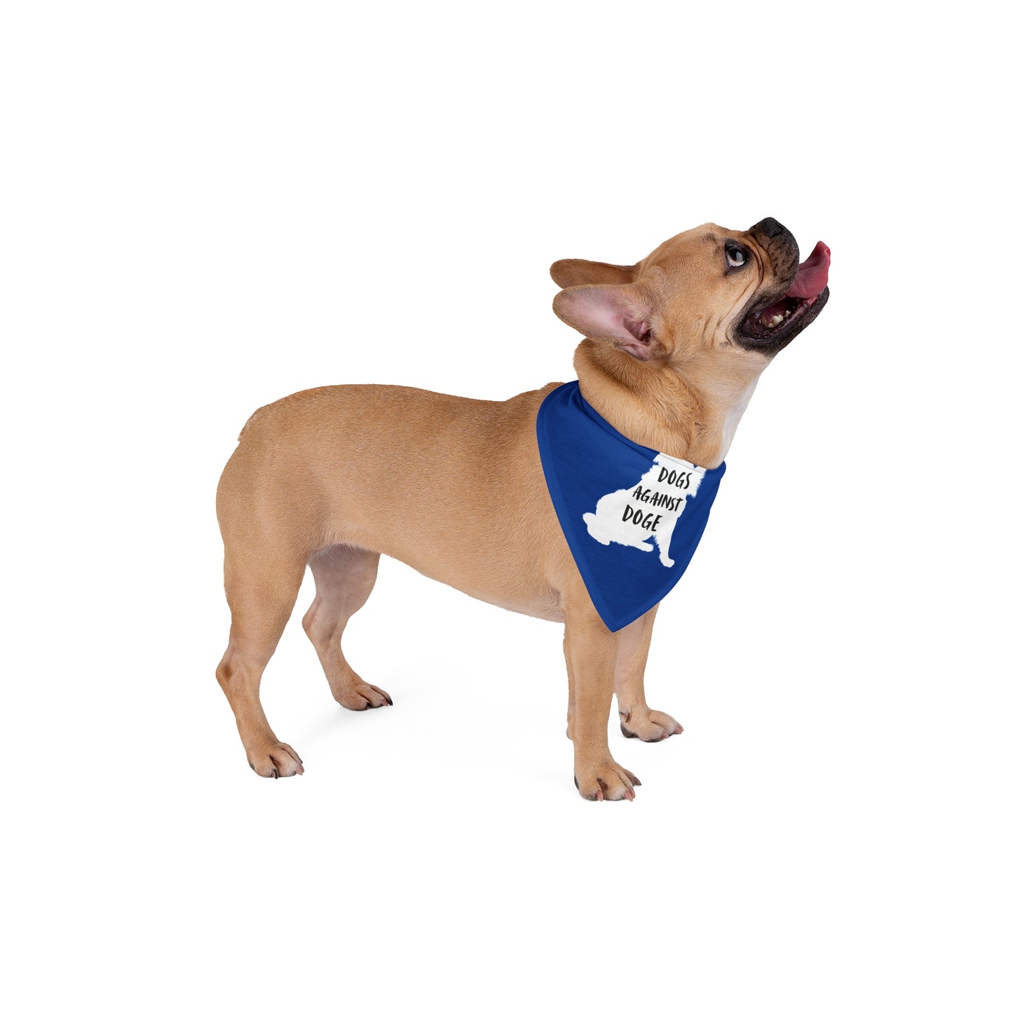Blue Raised Paw Dogs Against DOGE Pet Bandana