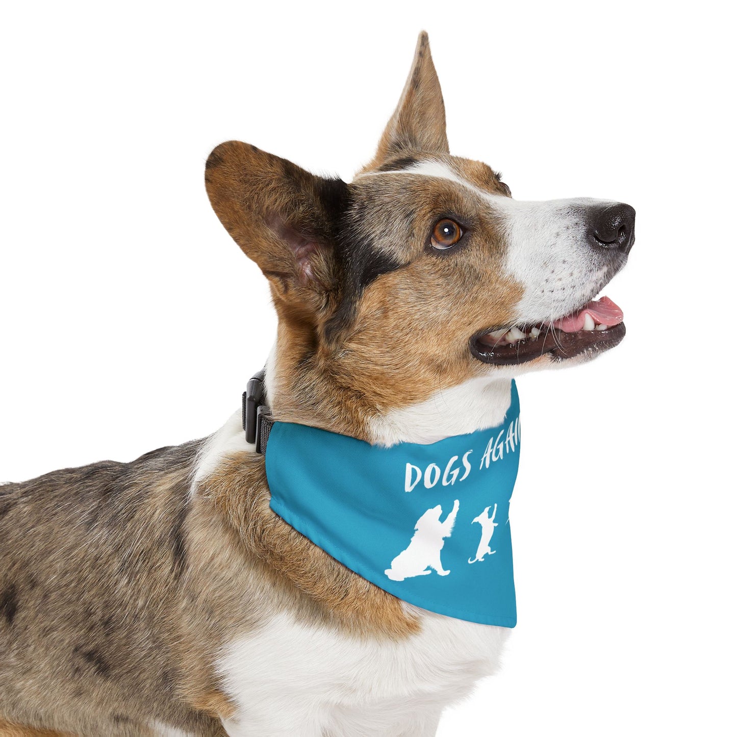 Turquoise Dogs Against DOGE Protesting Pups Pet Bandana Collar - Stylish Accessory for Dog Lovers