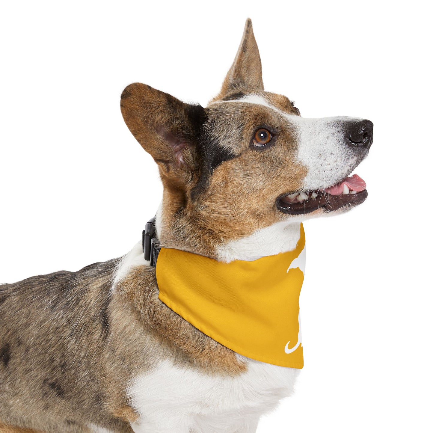Yellow Wiener Dogs Against DOGE Pet Bandana Collar