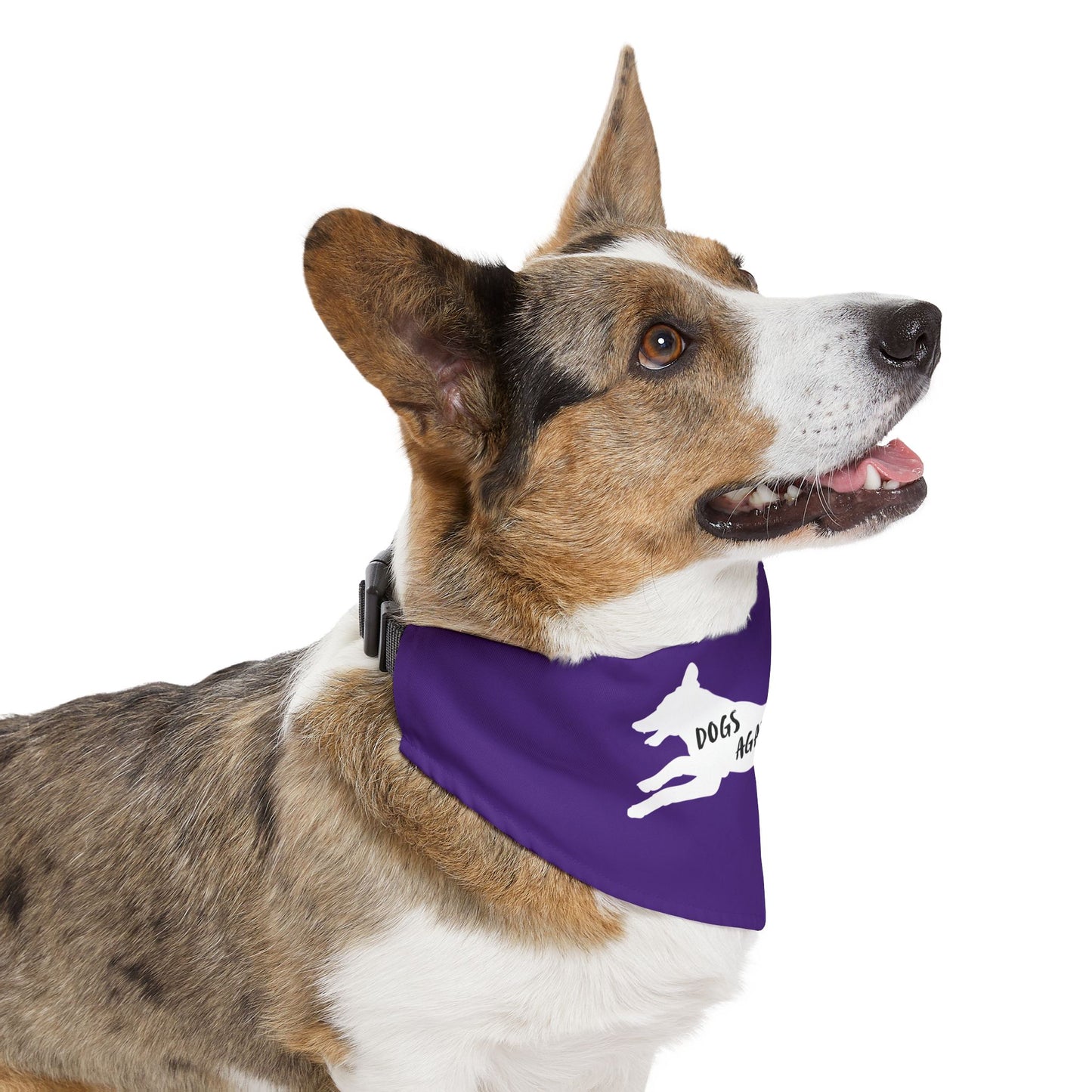 Purple Dogs Against DOGE Lunging Pup Pet Bandana Collar