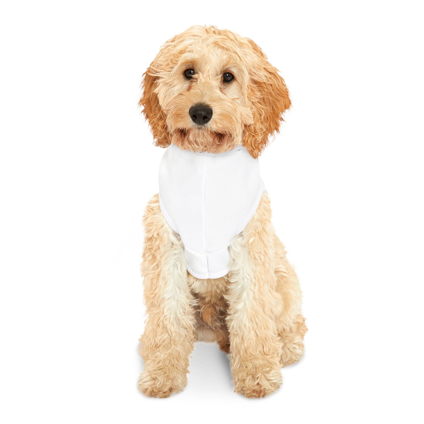 Wiener Dogs Against DOGE Pet Hoodie