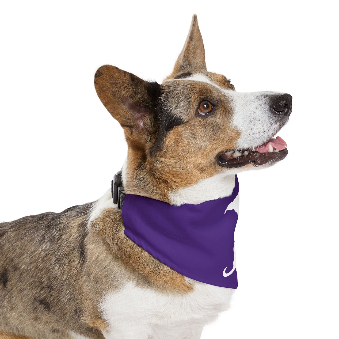 Purple Wiener Dogs Against DOGE Pet Bandana Collar