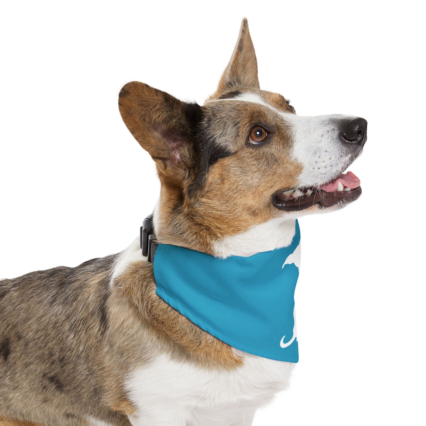 Turquoise Wiener Dogs Against DOGE Pet Bandana Collar