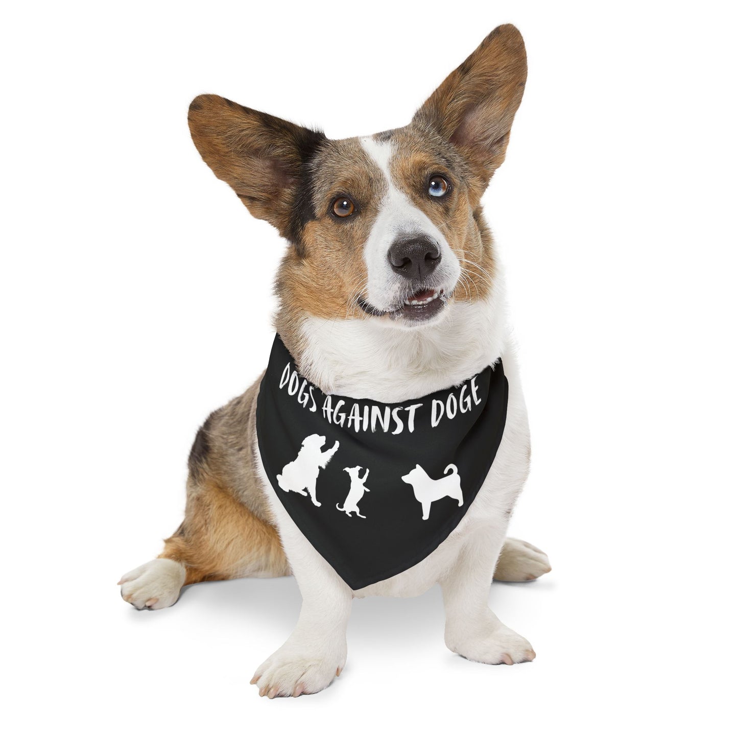Black Dogs Against DOGE "Stop the DOGE" Pet Bandana Collar
