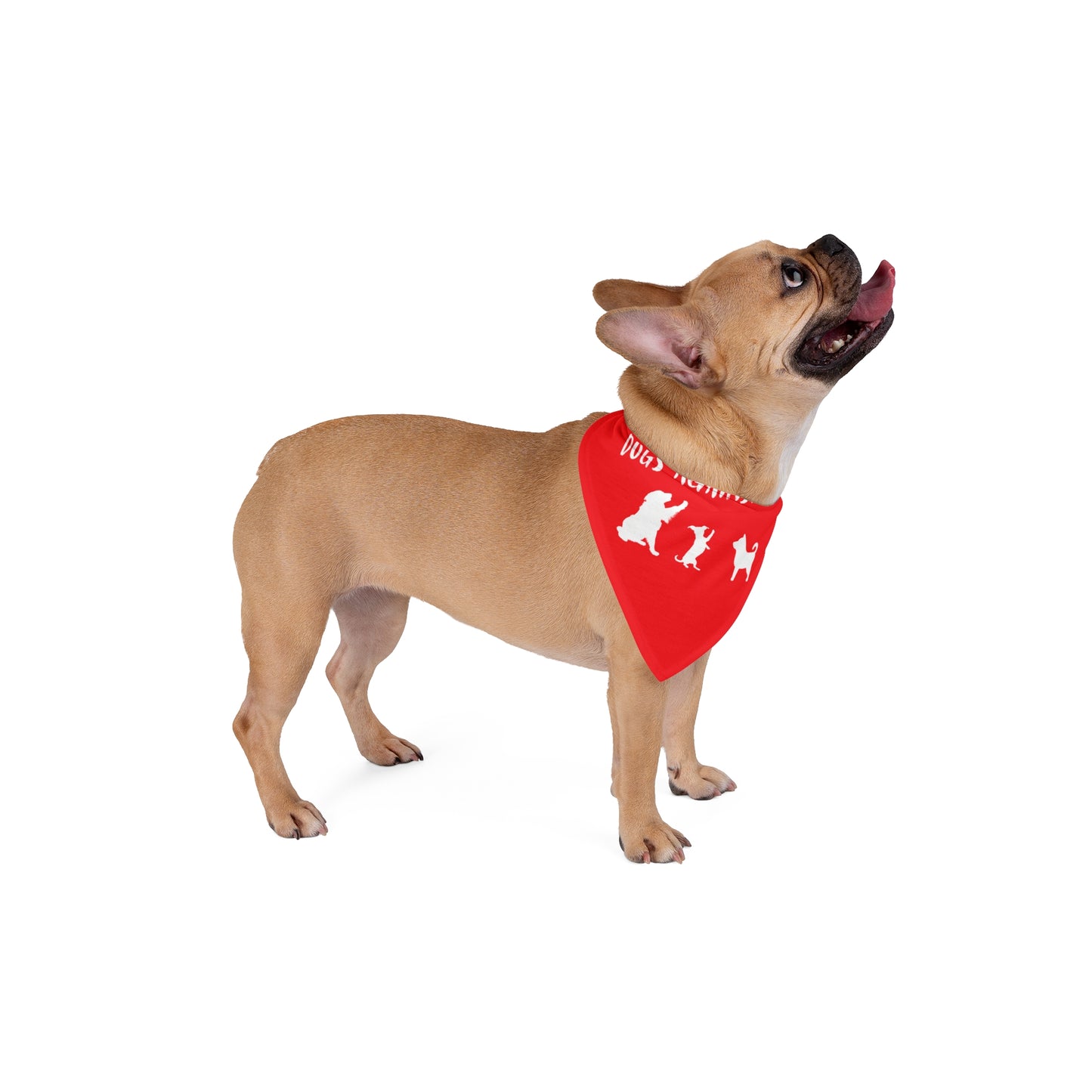 Red Dogs Against DOGE "Stop the DOGE" Pet Bandana