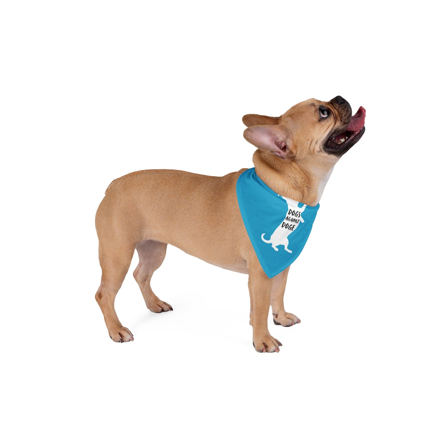 Turquoise Wiener Dogs Against DOGE Pet Bandana