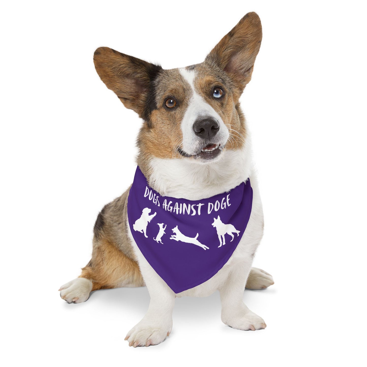 Purple Dogs Against DOGE Protesting Pups Pet Bandana Collar - Stylish Accessory for Dog Lovers