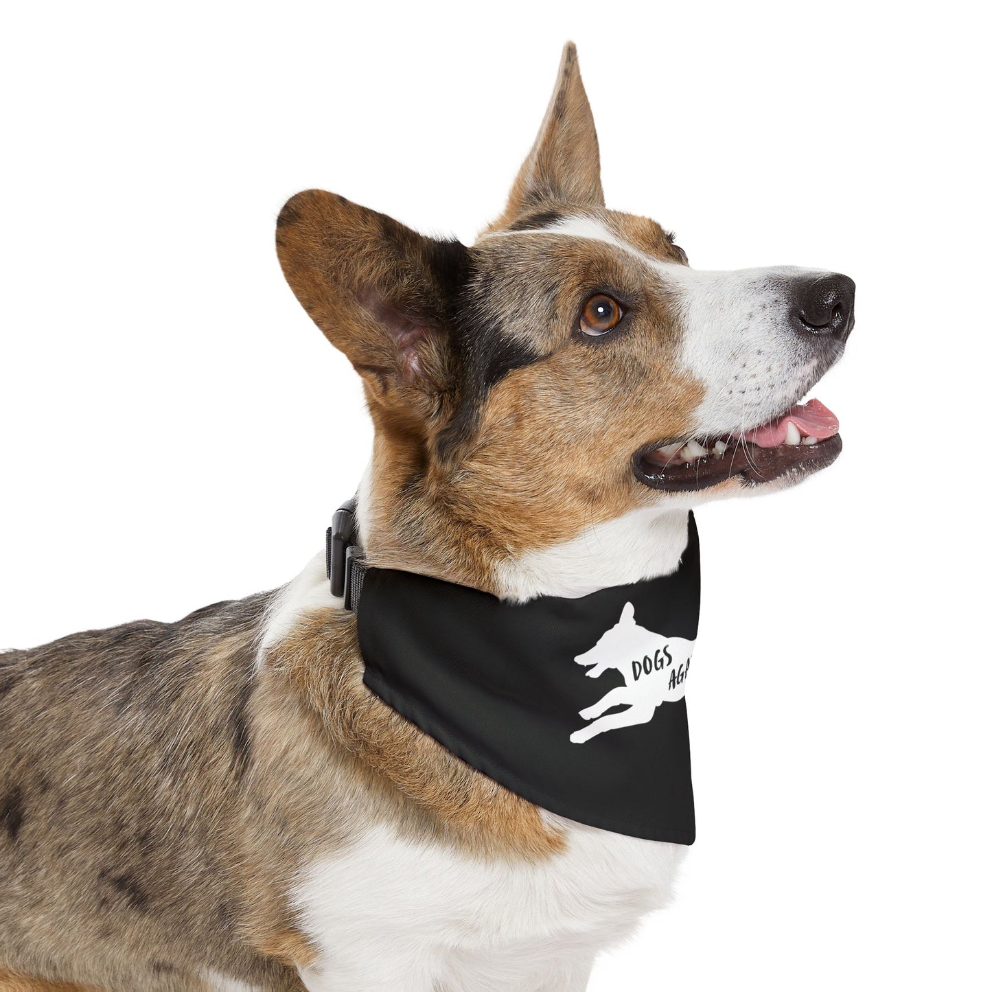 Black Dogs Against DOGE Lunging Pup Pet Bandana Collar