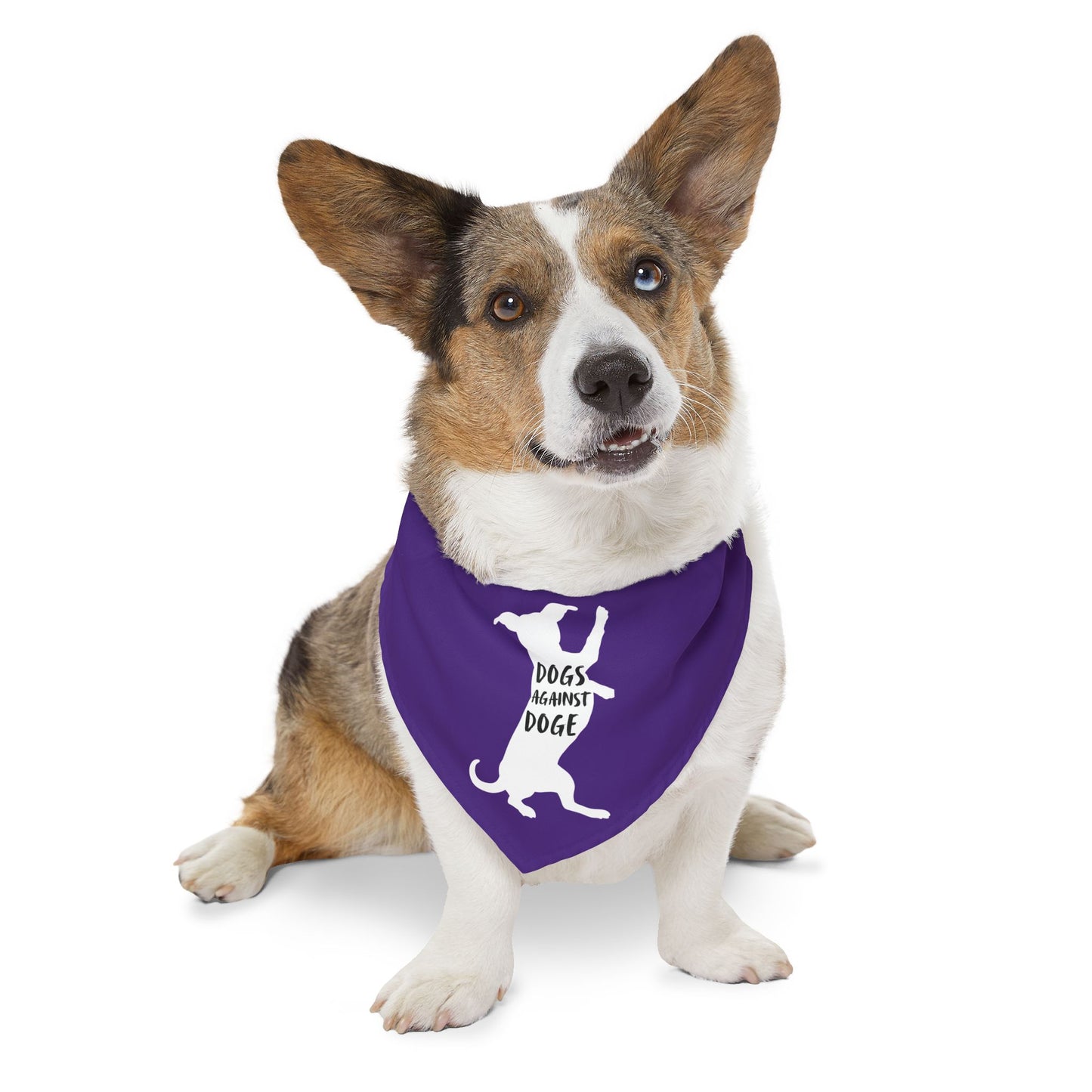 Purple Wiener Dogs Against DOGE Pet Bandana Collar