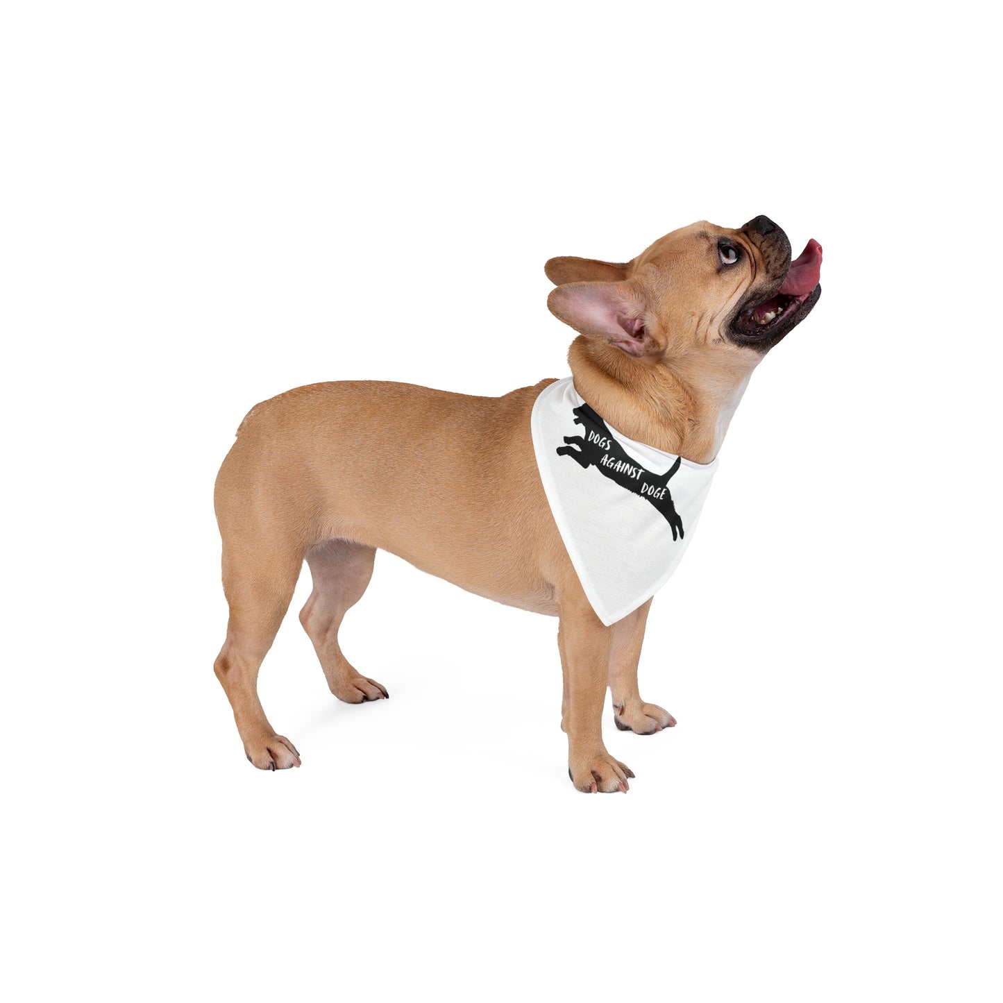 Lunging Pup Dogs Against DOGE Pet Bandana