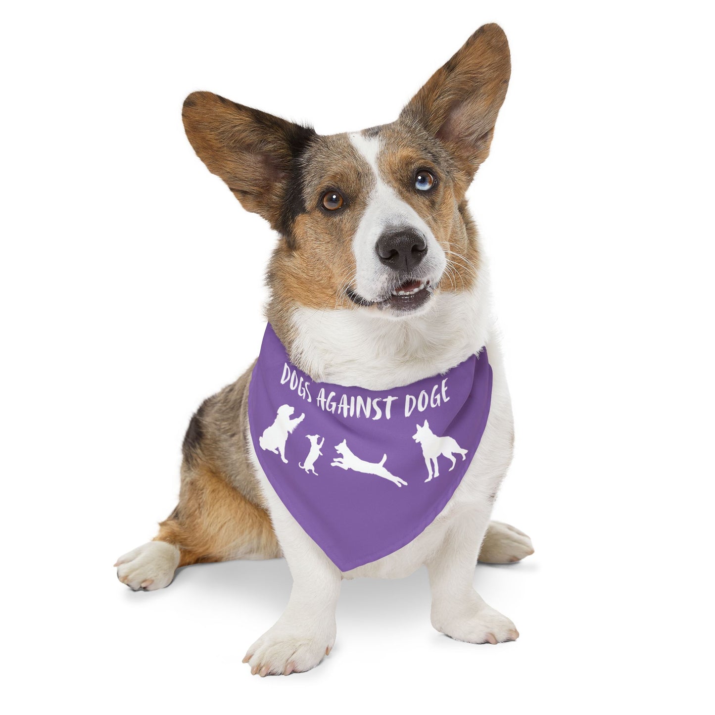 Lavender Dogs Against DOGE Protesting Pups Pet Bandana Collar - Stylish Accessory for Dog Lovers