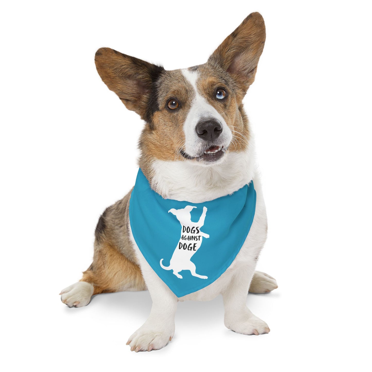 Turquoise Wiener Dogs Against DOGE Pet Bandana Collar