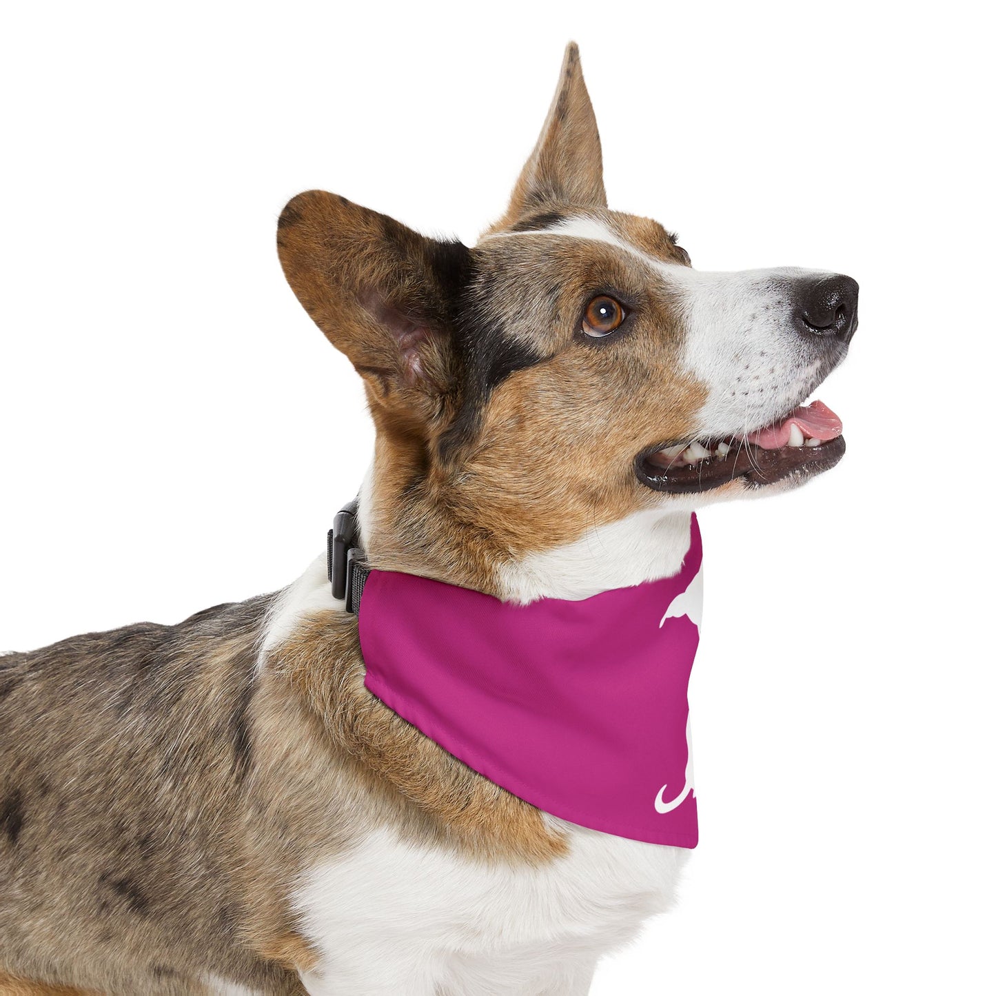 Hot Pink Wiener Dogs Against DOGE Pet Bandana Collar