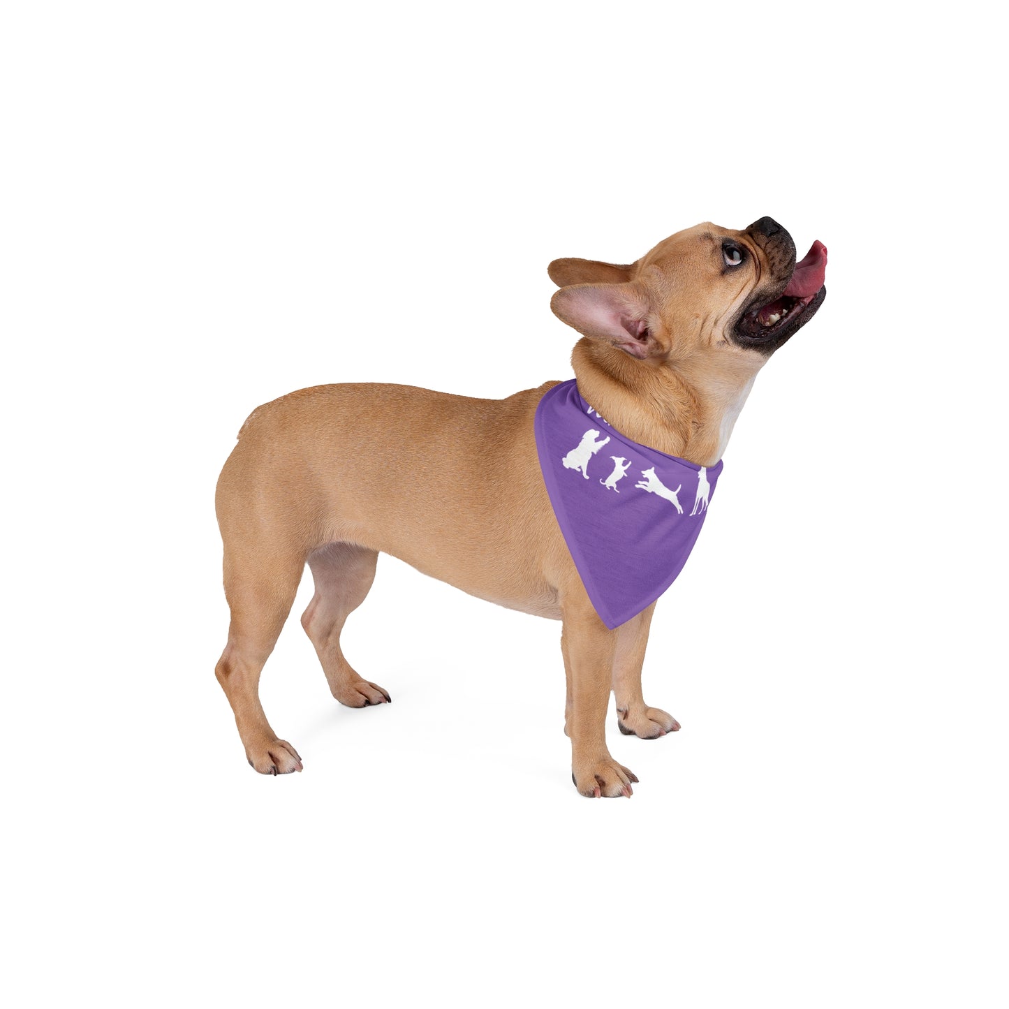 Lavender Protesting Pups Dogs Against DOGE Pet Bandana