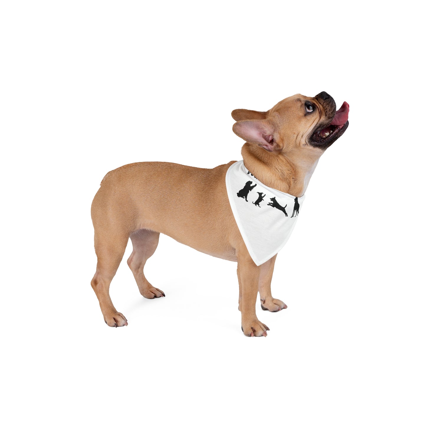 Protesting Pups Dogs Against DOGE Pet Bandana