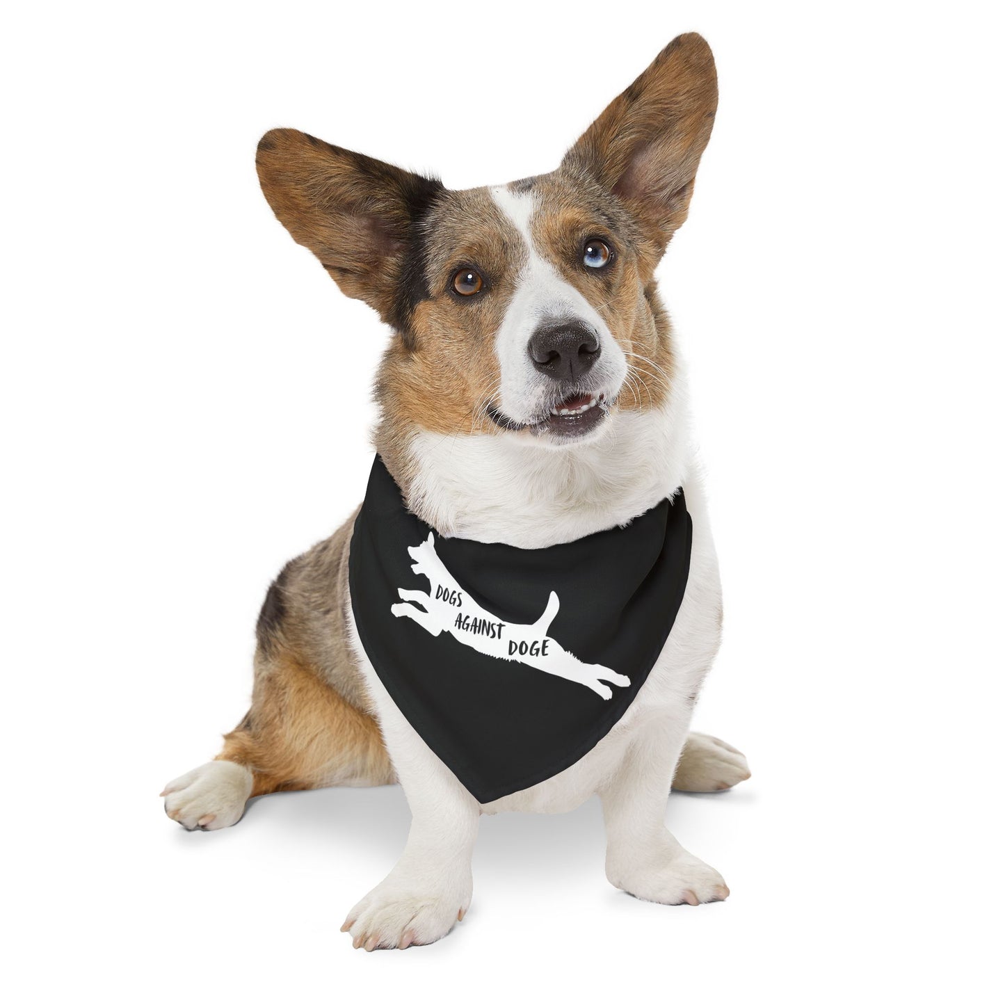 Black Dogs Against DOGE Lunging Pup Pet Bandana Collar