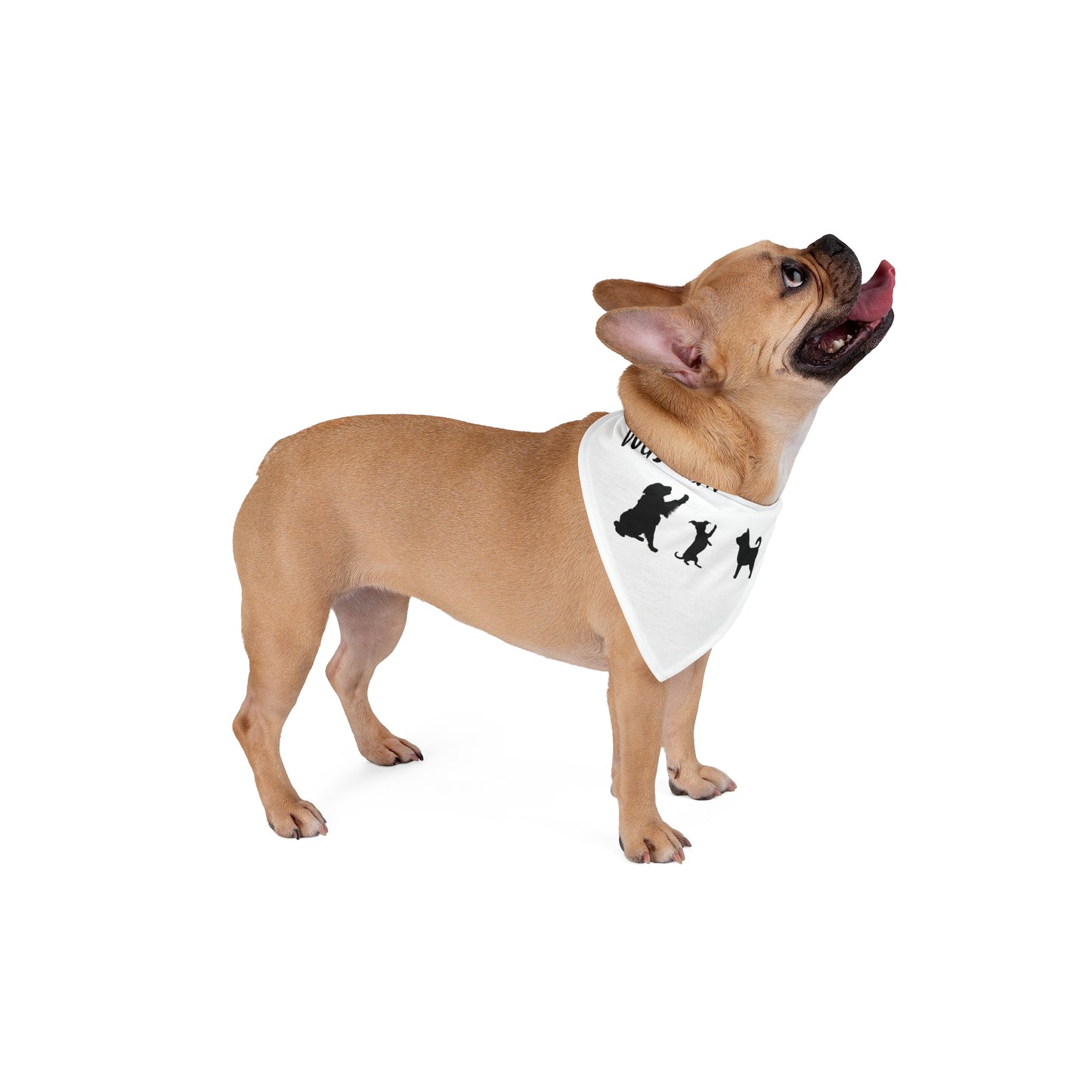 "Stop the DOGE" Dogs Against DOGE Pet Bandana