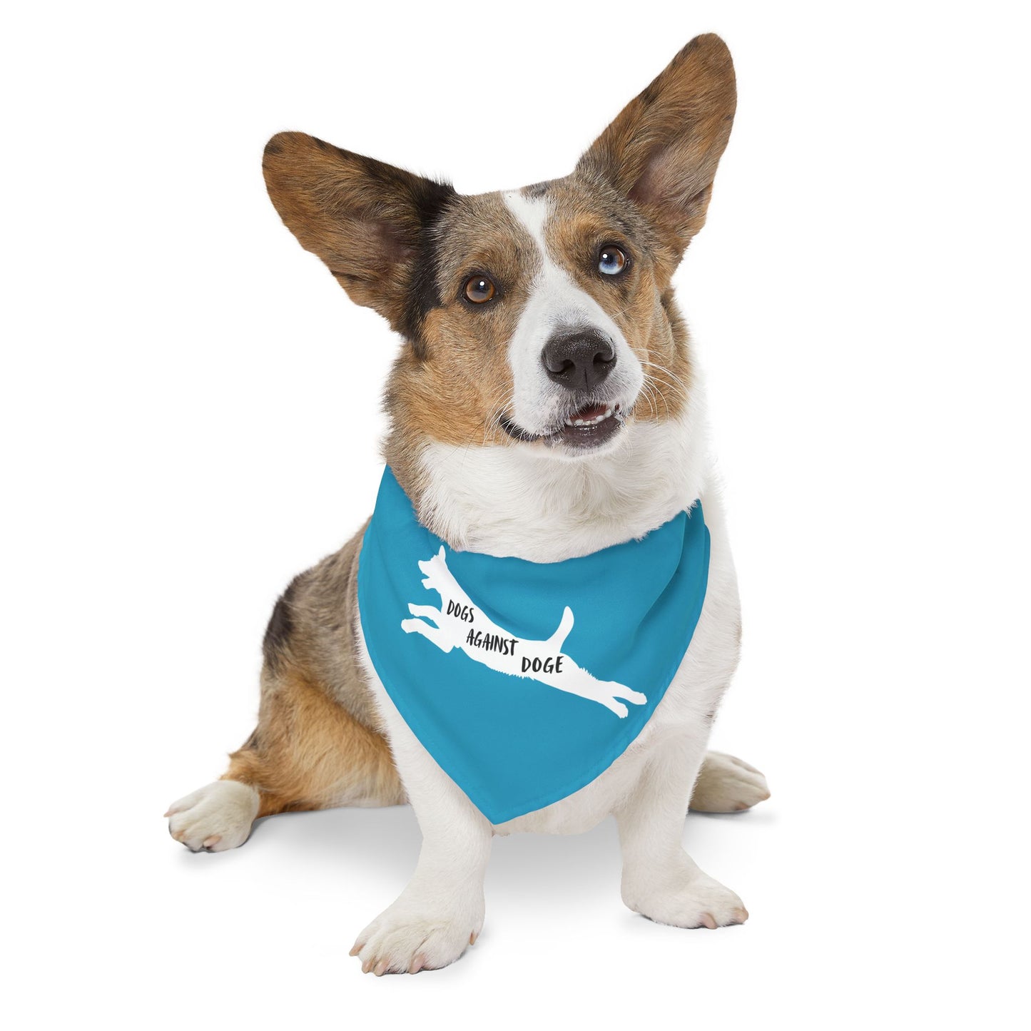 Turquoise Dogs Against DOGE Lunging Pup Pet Bandana Collar