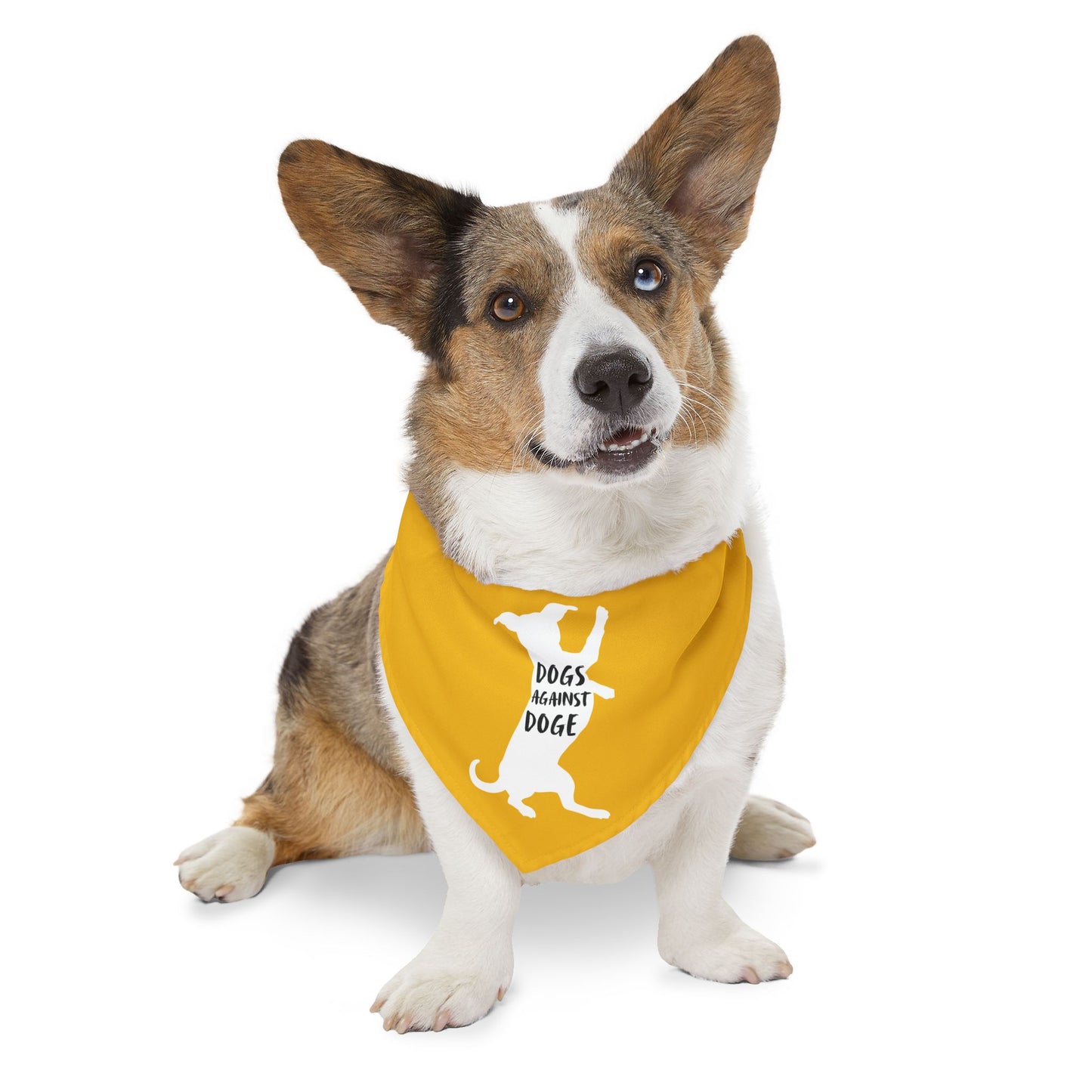 Yellow Wiener Dogs Against DOGE Pet Bandana Collar