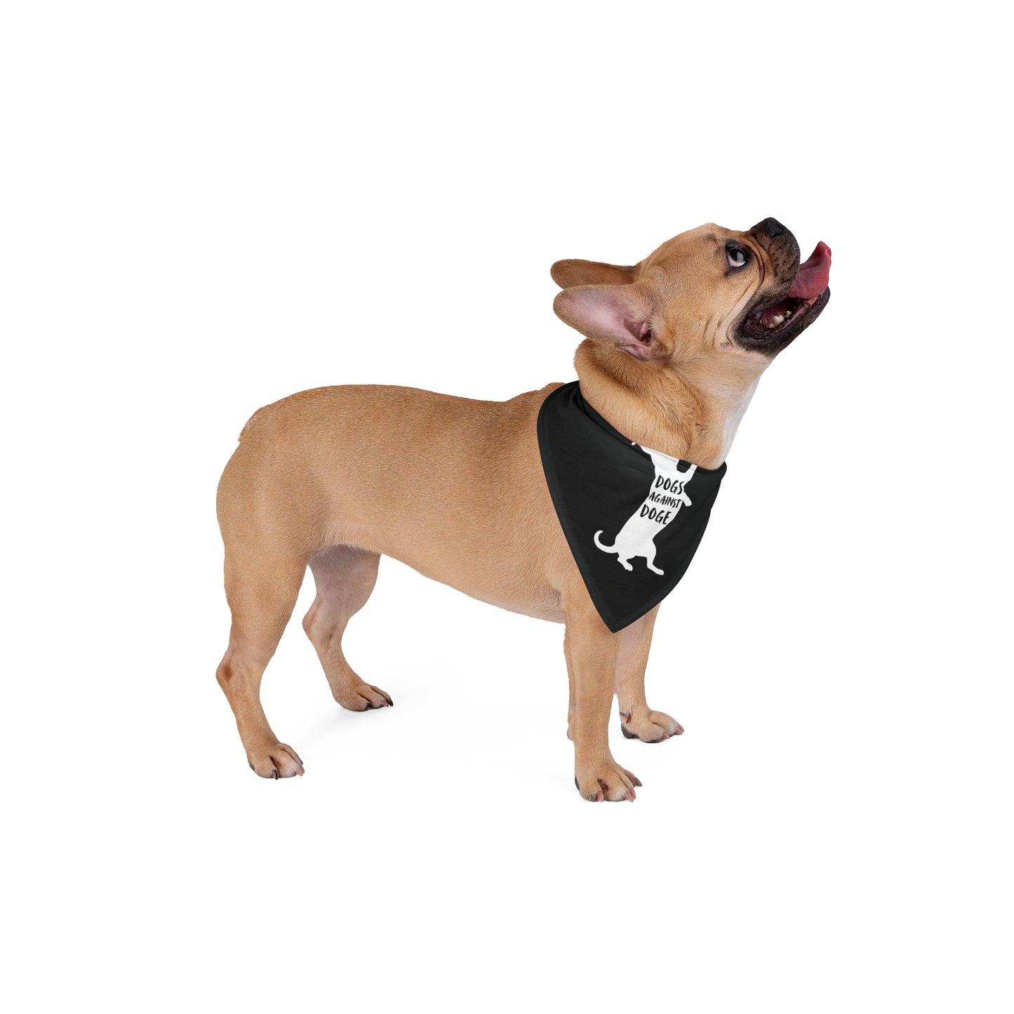 Black Wiener Dogs Against DOGE Pet Bandana