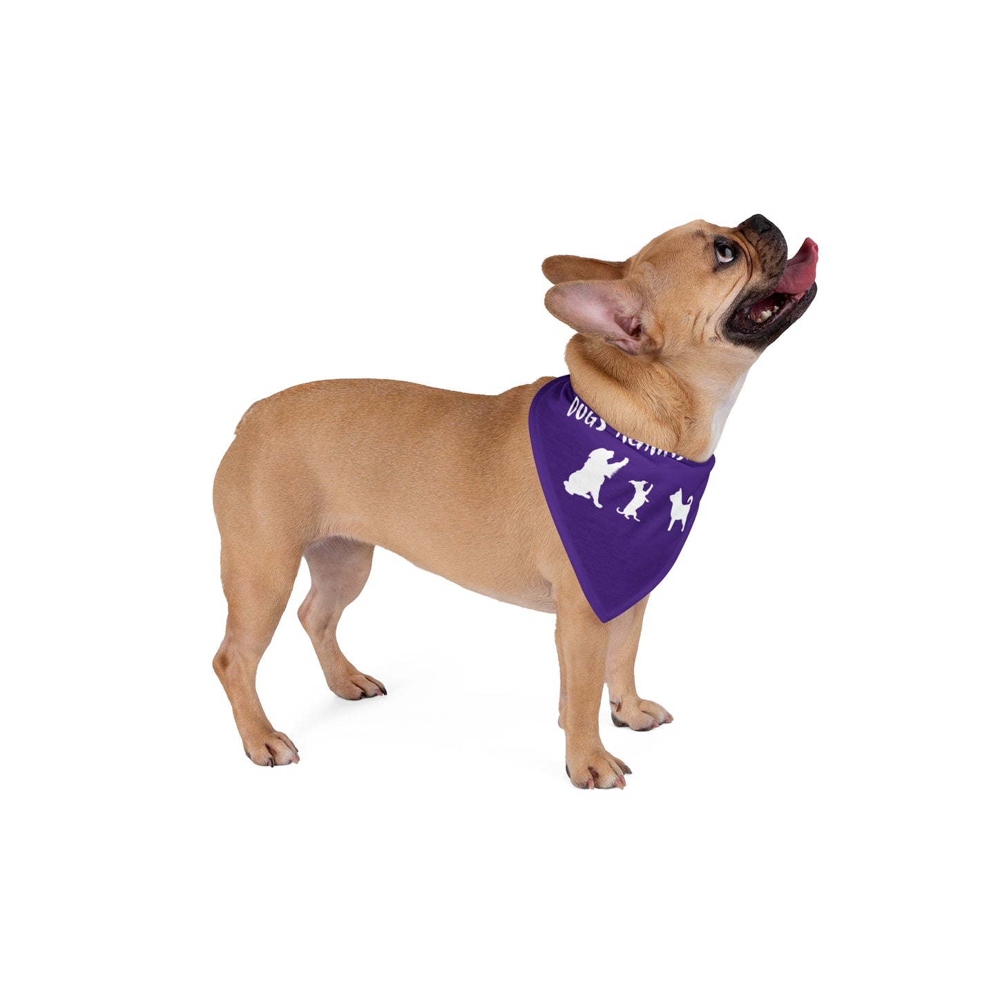 Purple Dogs Against DOGE "Stop the DOGE" Pet Bandana
