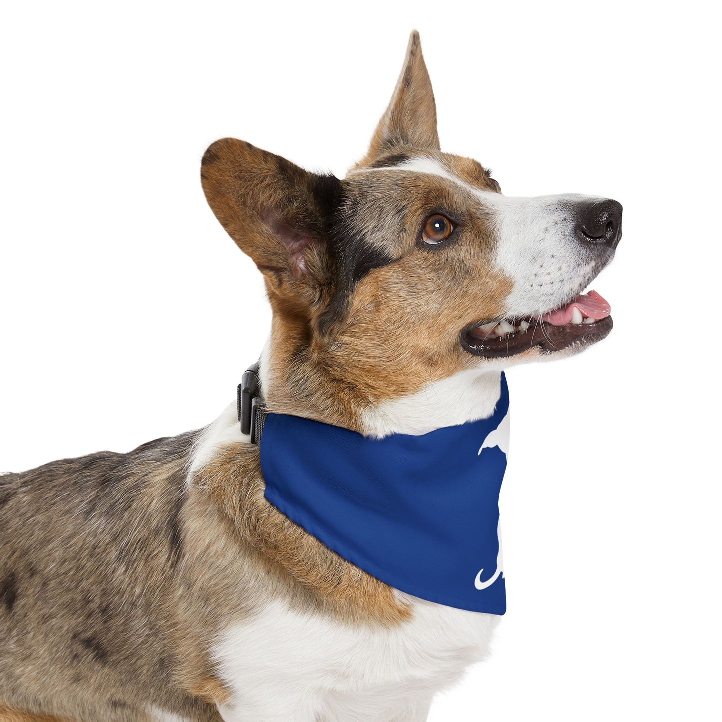 Blue Wiener Dogs Against DOGE Pet Bandana Collar