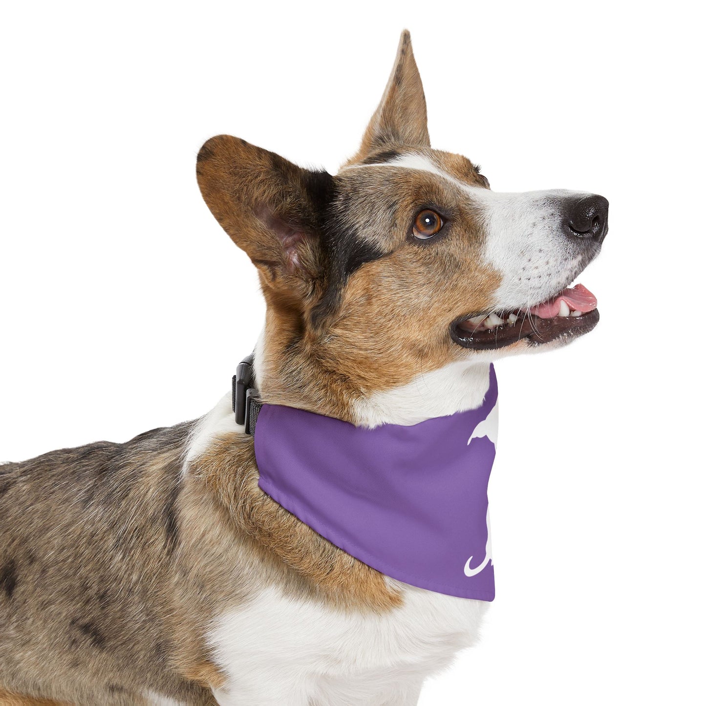 Lavender Wiener Dogs Against DOGE Pet Bandana Collar