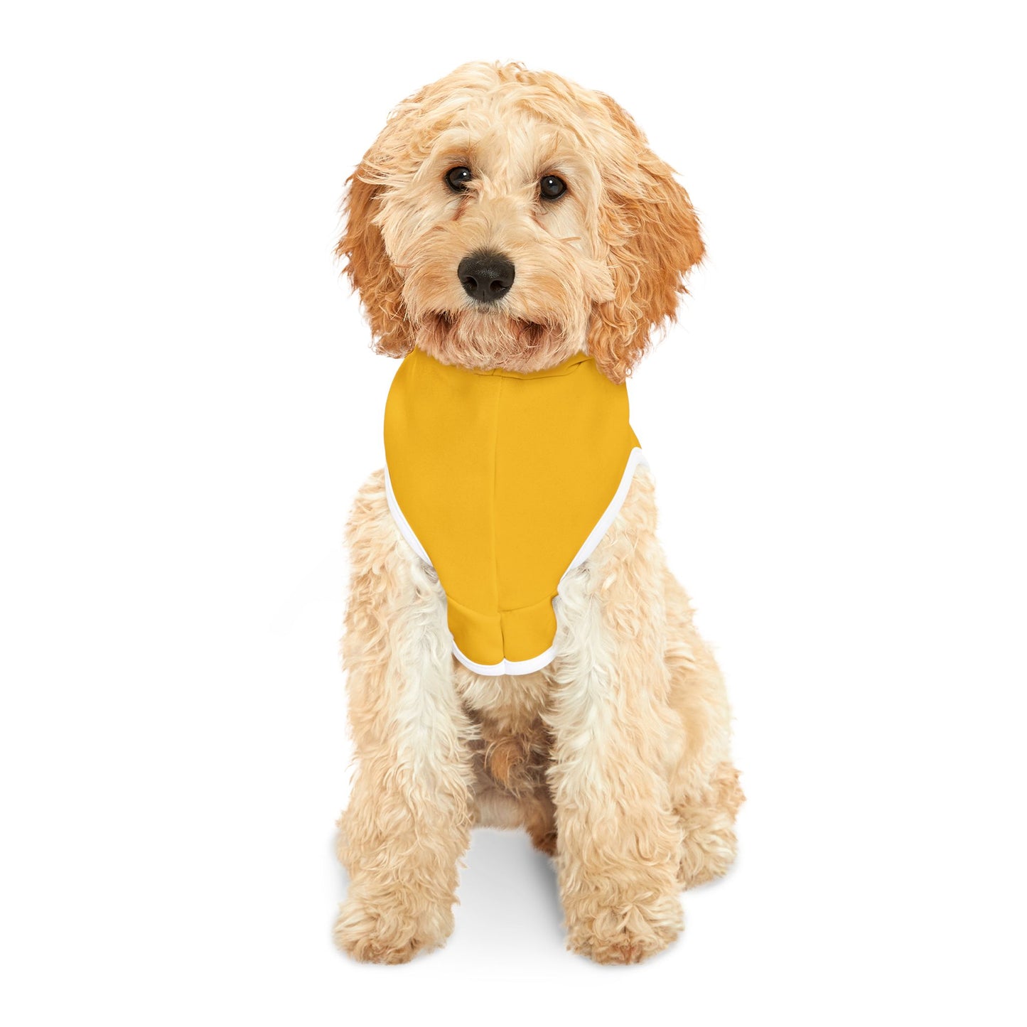 Yellow Lunging Pup Dogs Against DOGE Pet Hoodie