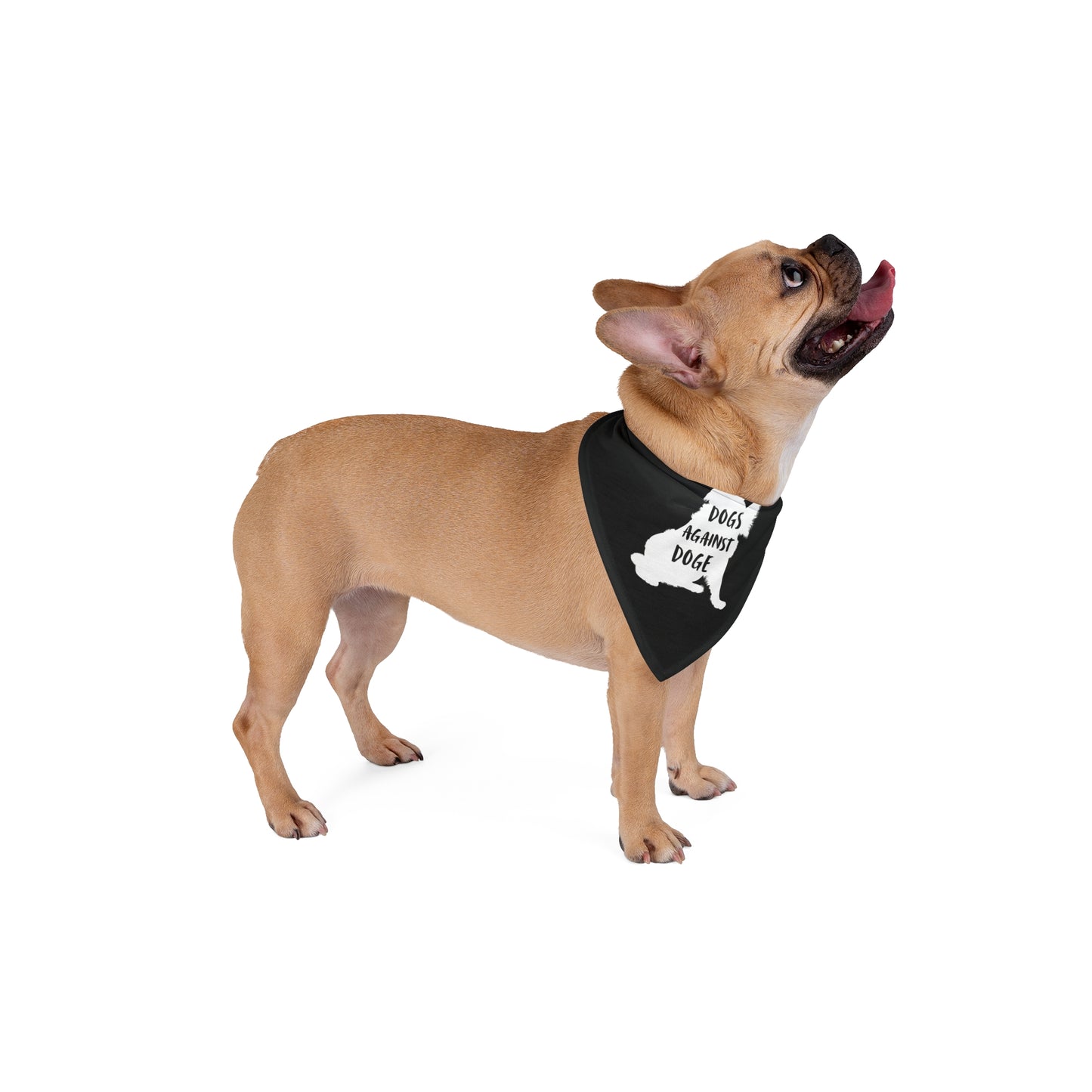 Black Raised Paw Dogs Against DOGE Pet Bandana
