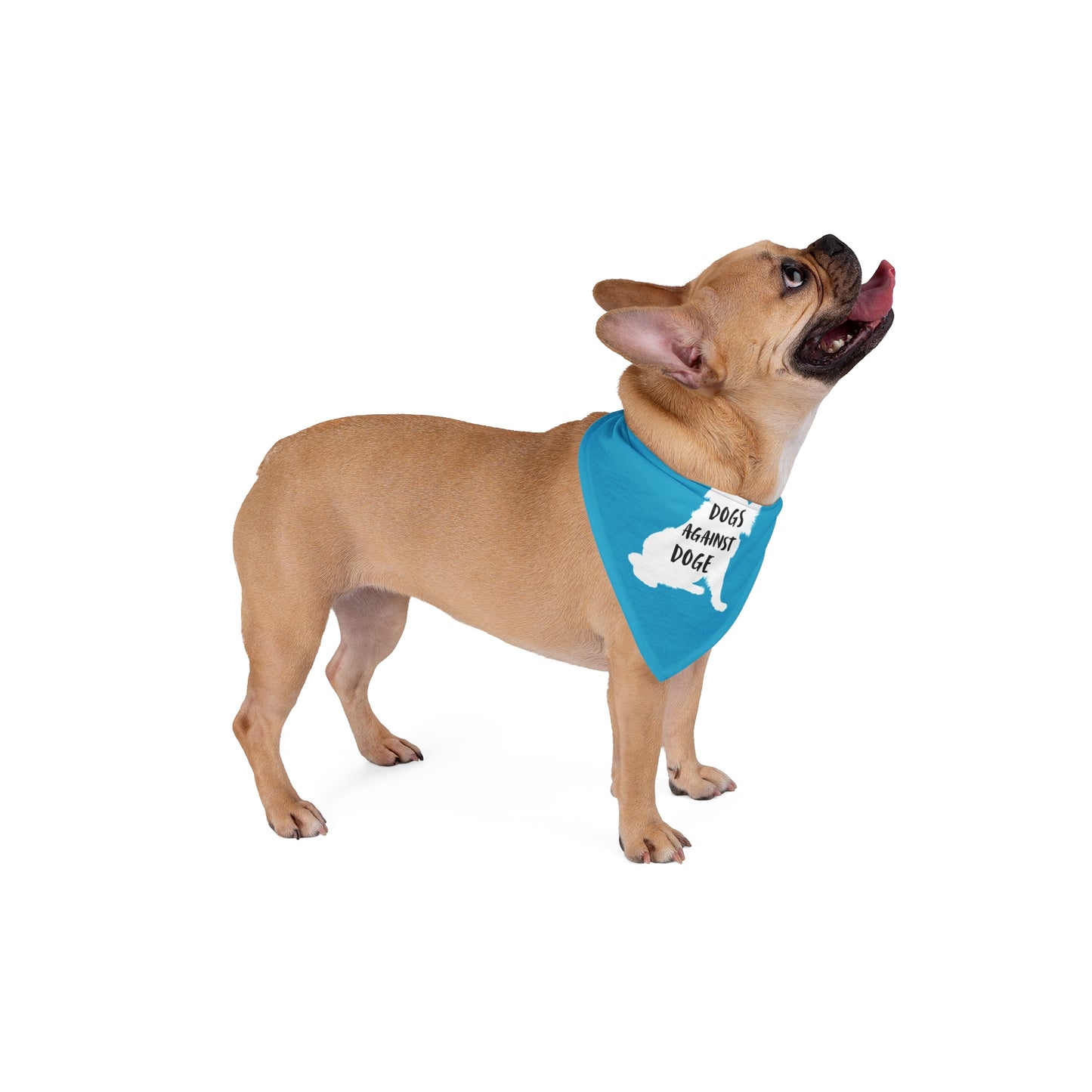 Turquoise Raised Paw Dogs Against DOGE Pet Bandana