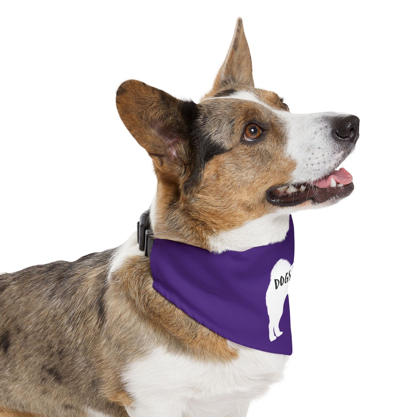 Purple Dogs Against DOGE Shiba Inu Pet Bandana Collar