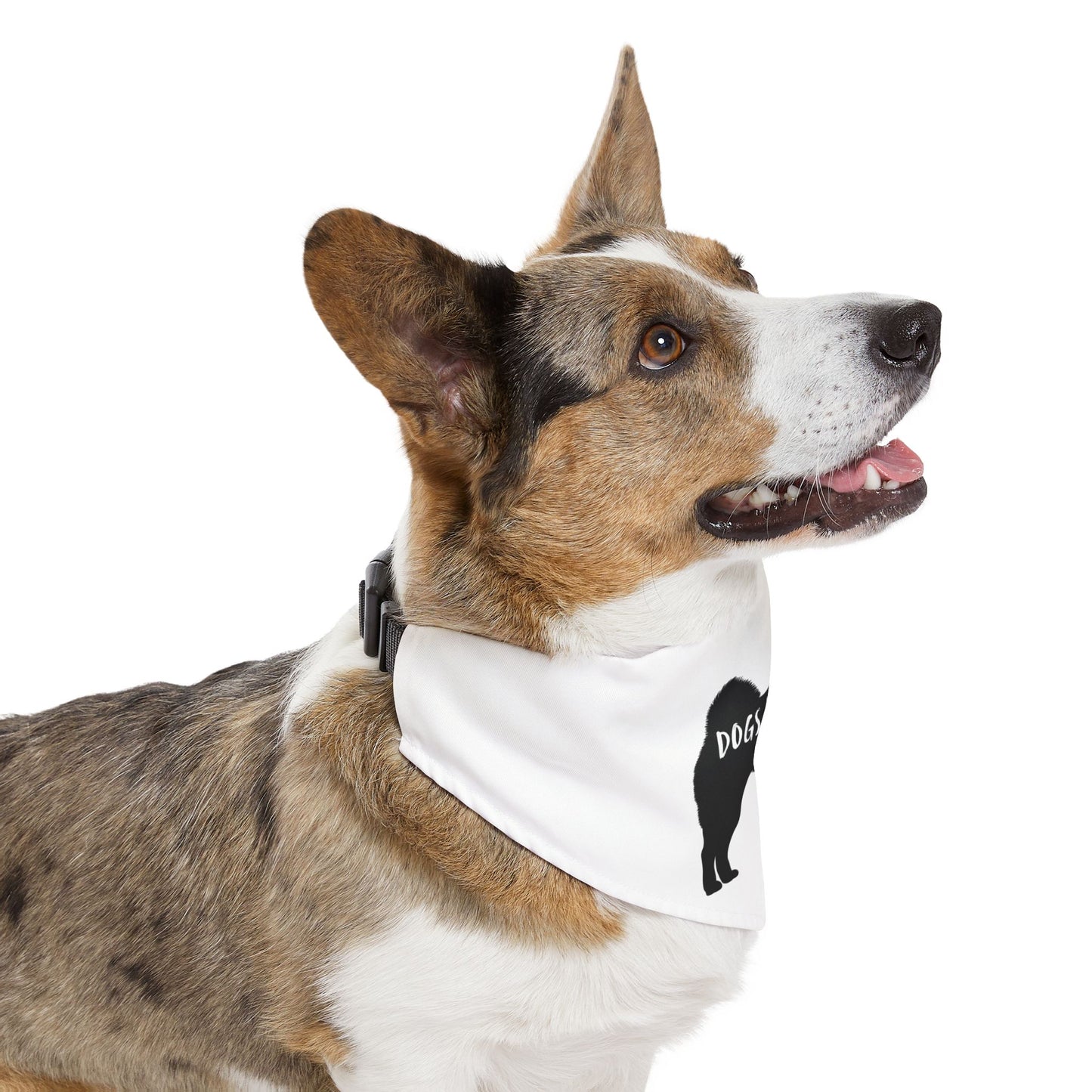 Dogs Against DOGE Shiba Inu Pet Bandana Collar