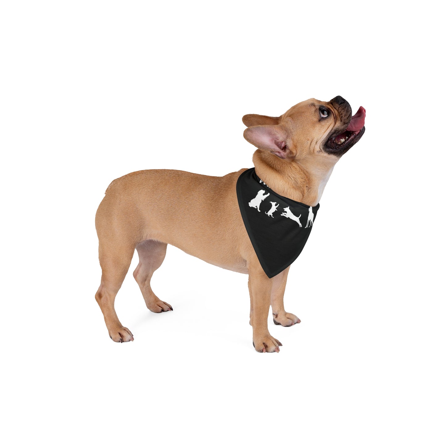 Black Protesting Pups Dogs Against DOGE Pet Bandana