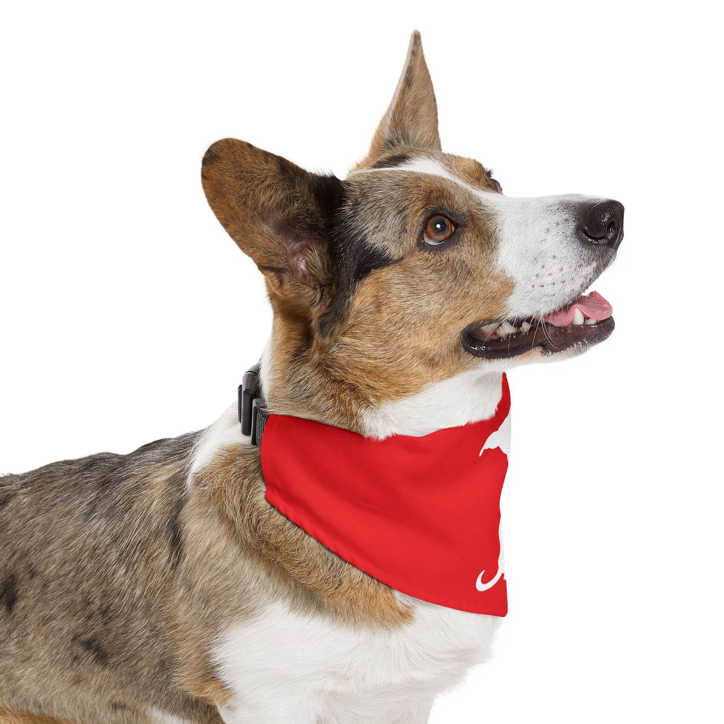 Red Wiener Dogs Against DOGE Pet Bandana Collar