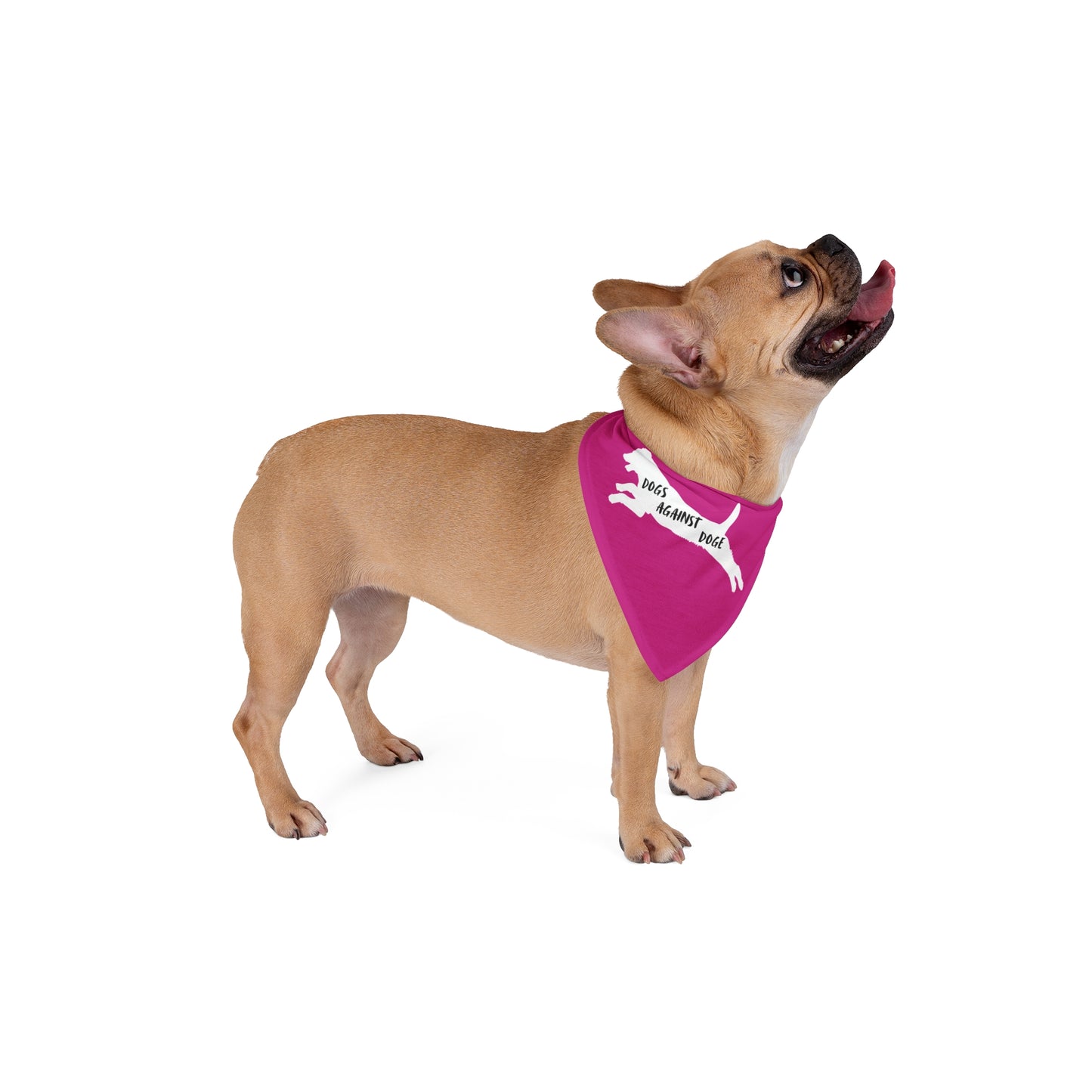 Hot Pink Lunging Pup Dogs Against DOGE Pet Bandana