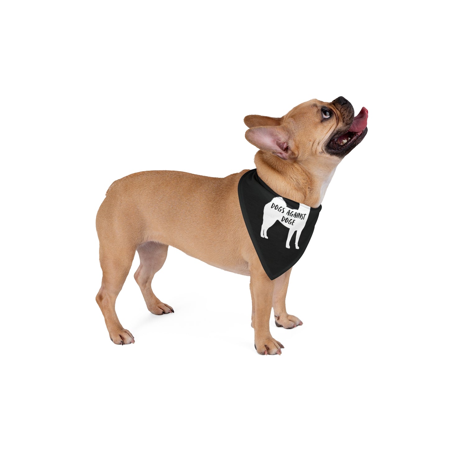 Black Shiba Inu Dogs Against DOGE Pet Bandana