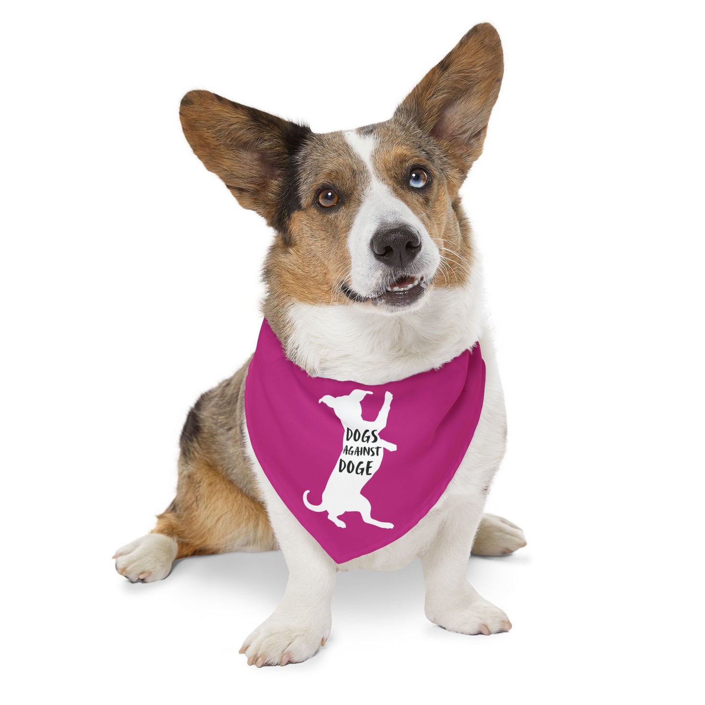 Hot Pink Wiener Dogs Against DOGE Pet Bandana Collar