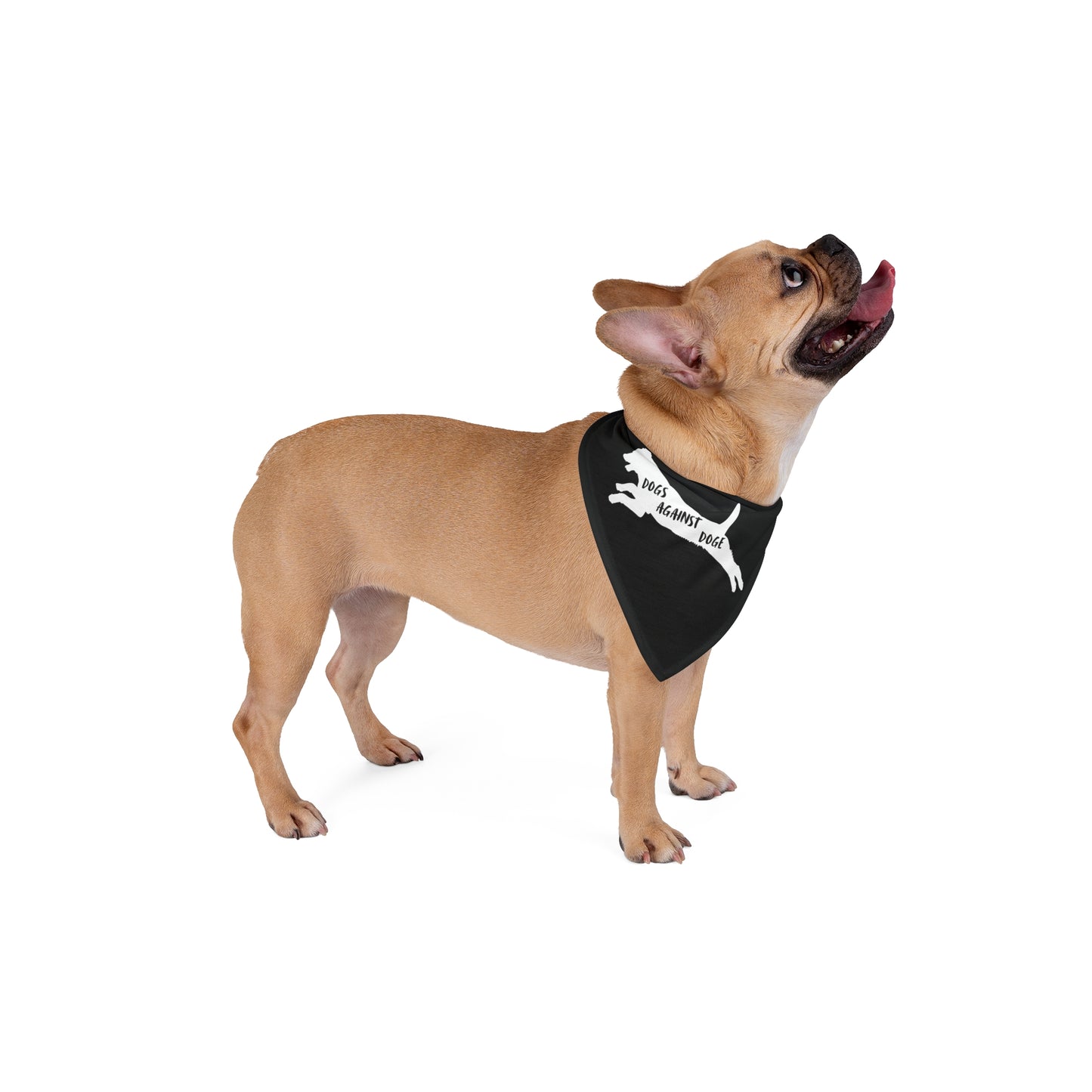 Black Lunging Pup Dogs Against DOGE Pet Bandana