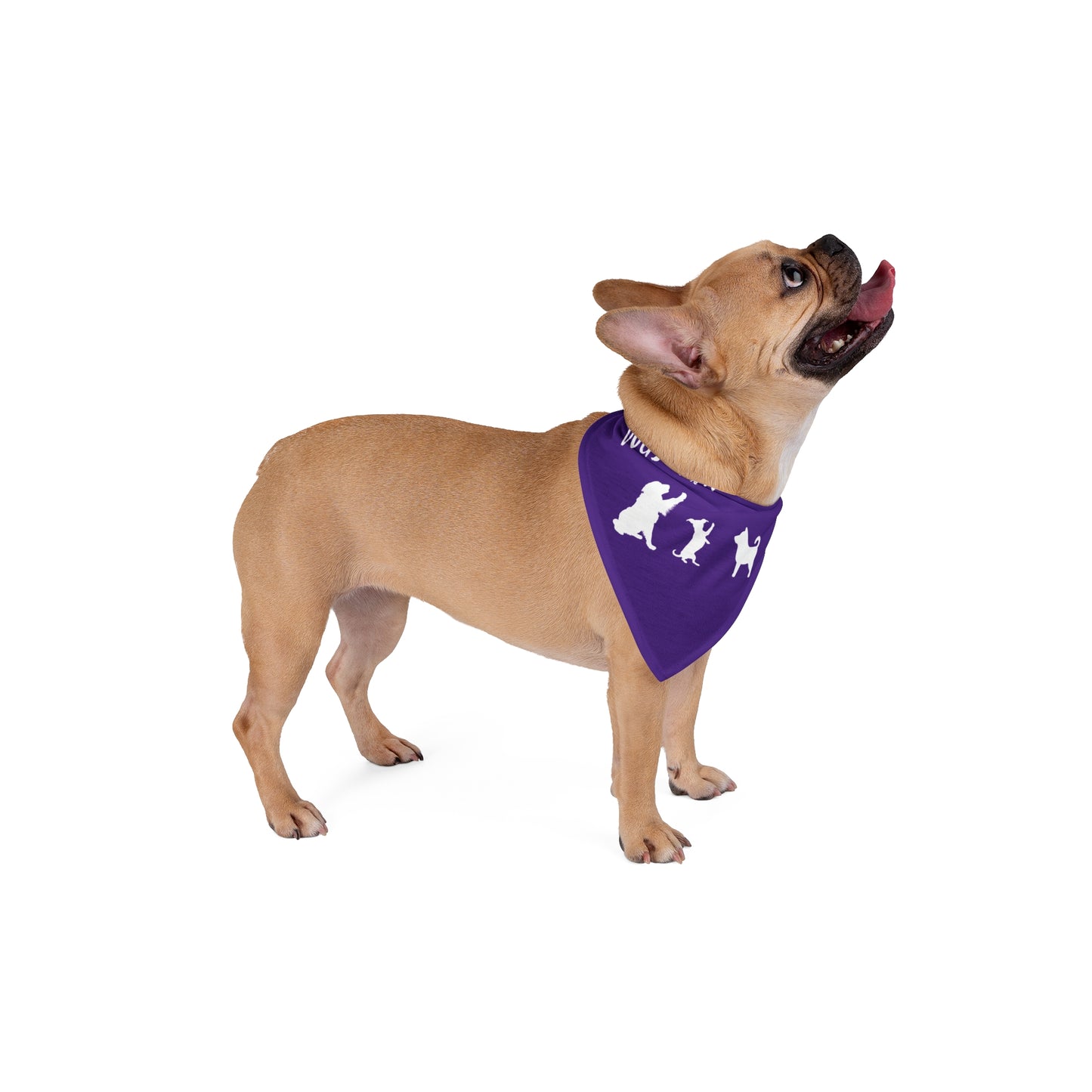 Purple Dogs Against DOGE "Stop the DOGE" Pet Bandana