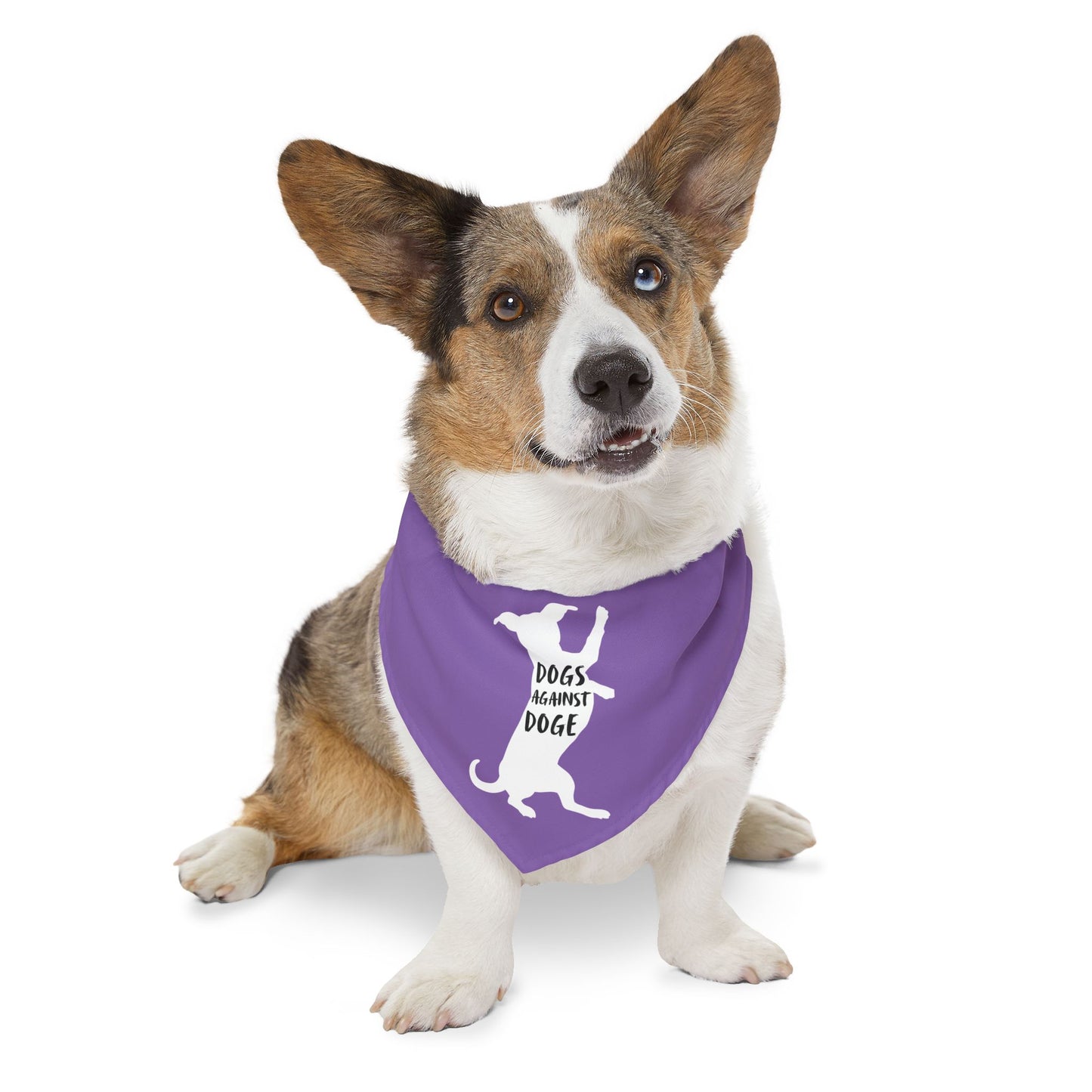 Lavender Wiener Dogs Against DOGE Pet Bandana Collar