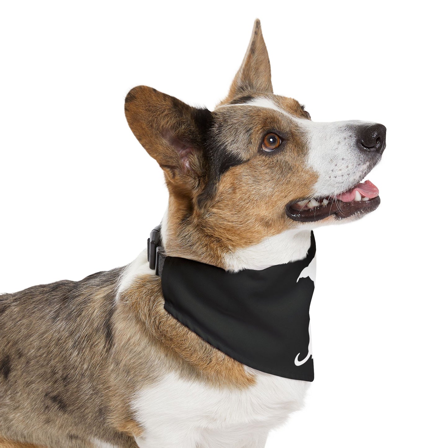 Black Wiener Dogs Against DOGE Pet Bandana Collar