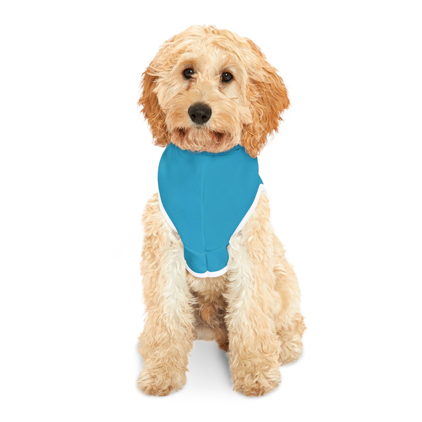 Turquoise Dogs Against DOGE Raised Paw Pet Hoodie