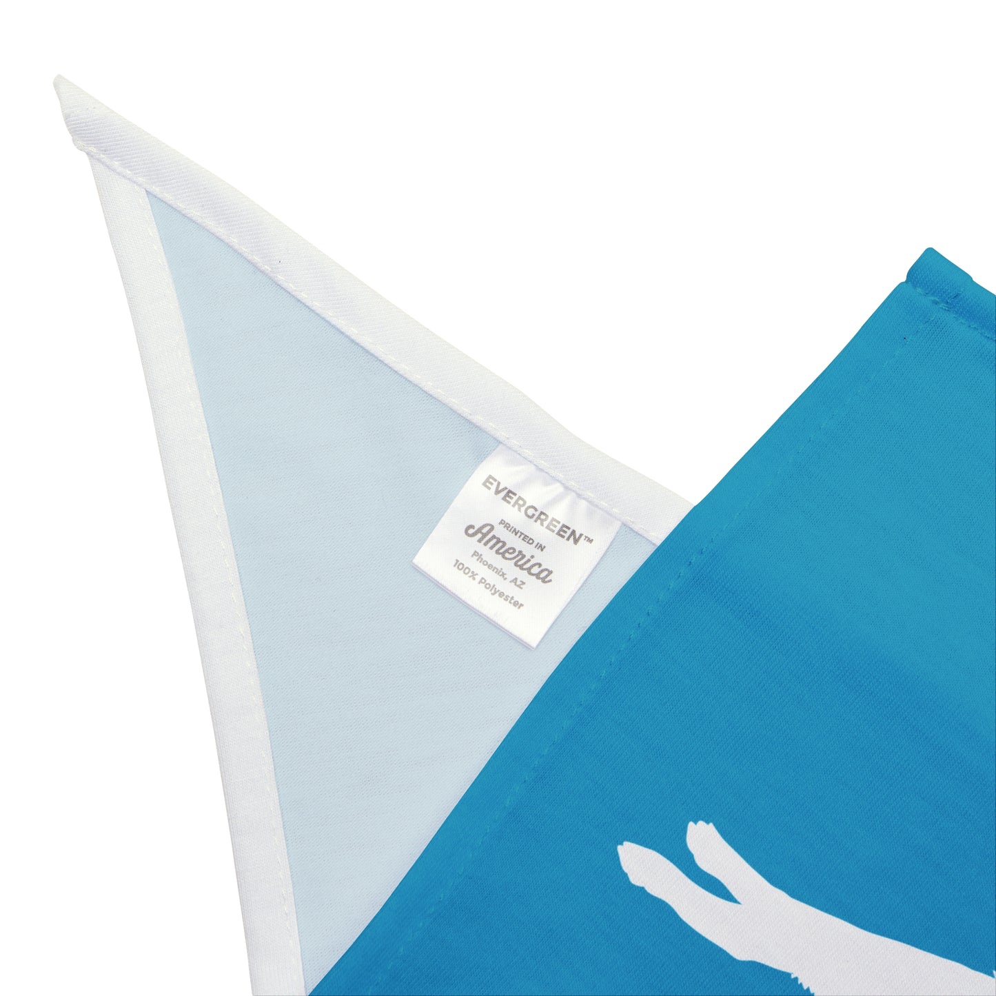 Turquoise Lunging Pup Dogs Against DOGE Pet Bandana