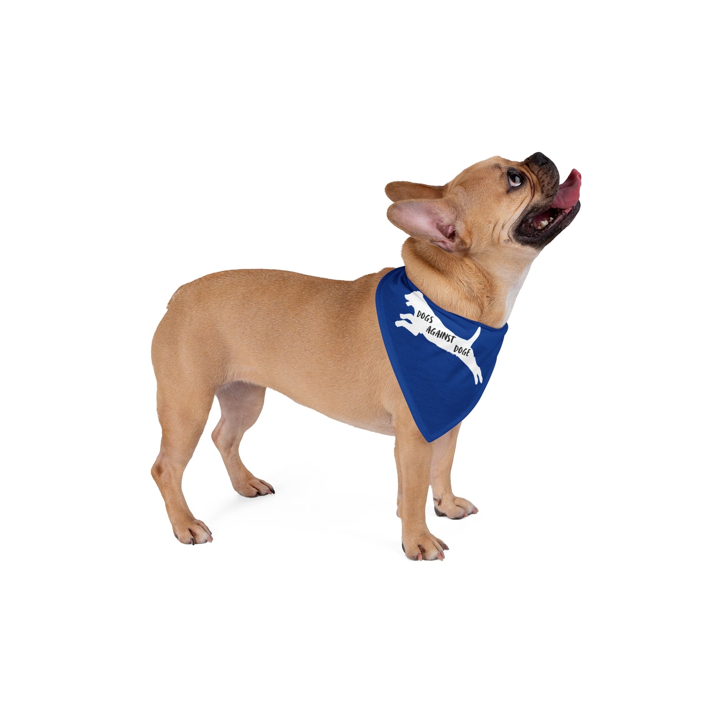 Blue Lunging Pup Dogs Against DOGE Pet Bandana