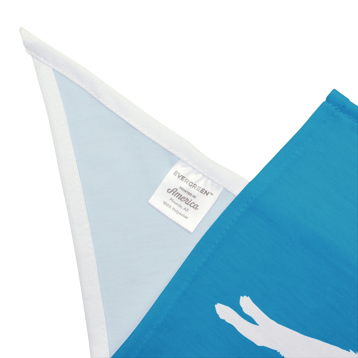 Turquoise Lunging Pup Dogs Against DOGE Pet Bandana