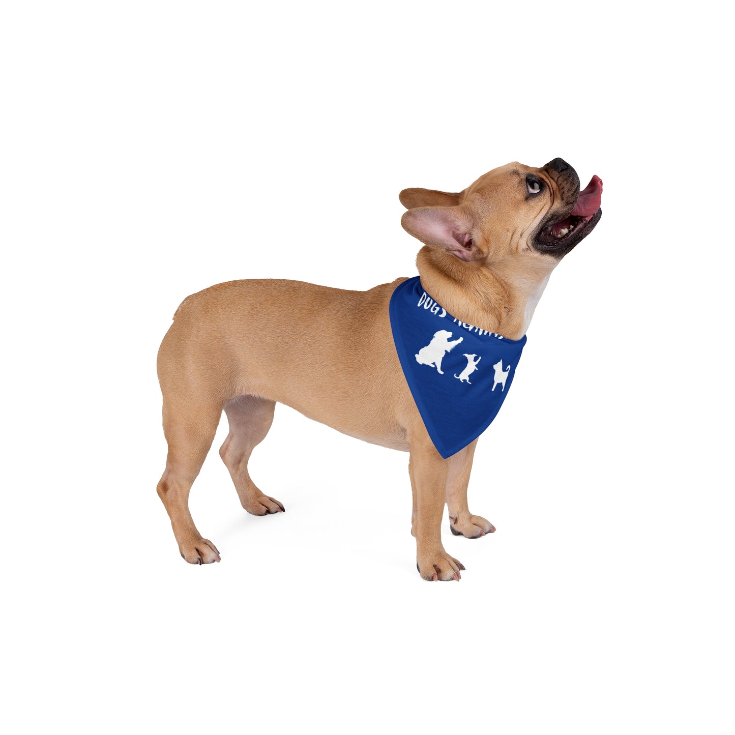 Blue Dogs Against DOGE "Stop the DOGE" Pet Bandana