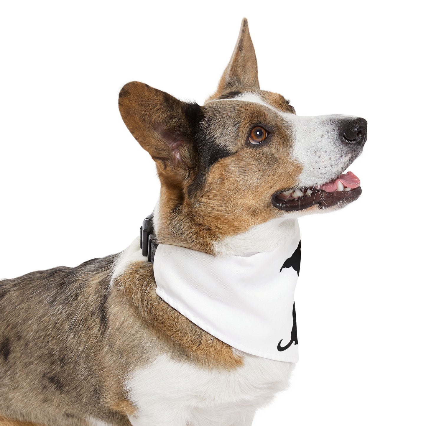 Wiener Dogs Against DOGE Pet Bandana Collar