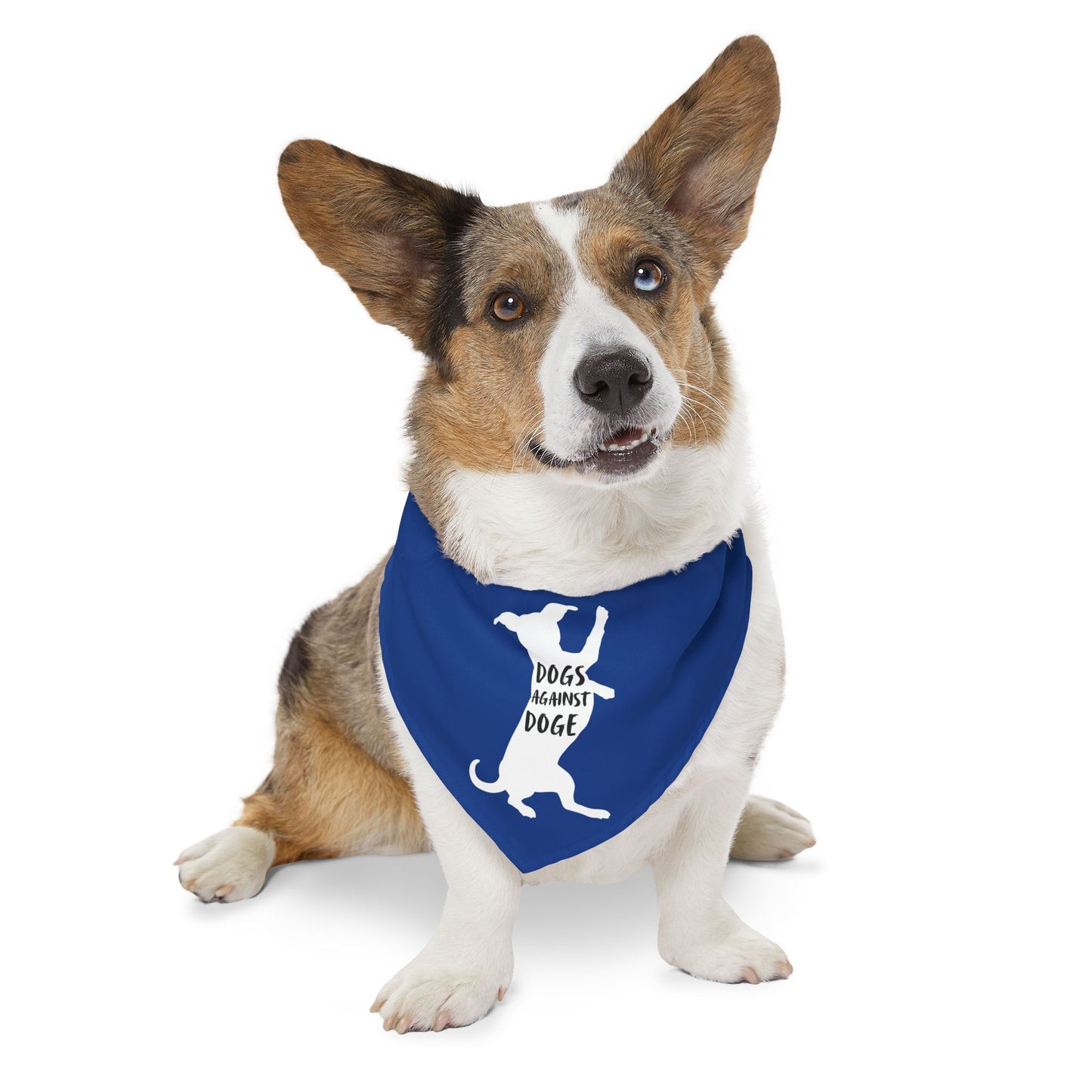 Blue Wiener Dogs Against DOGE Pet Bandana Collar