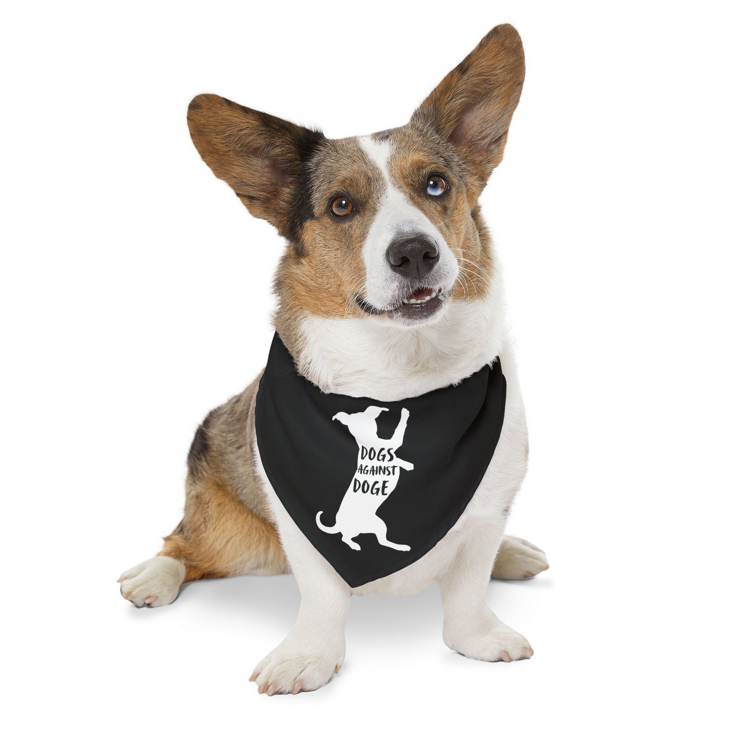 Black Wiener Dogs Against DOGE Pet Bandana Collar